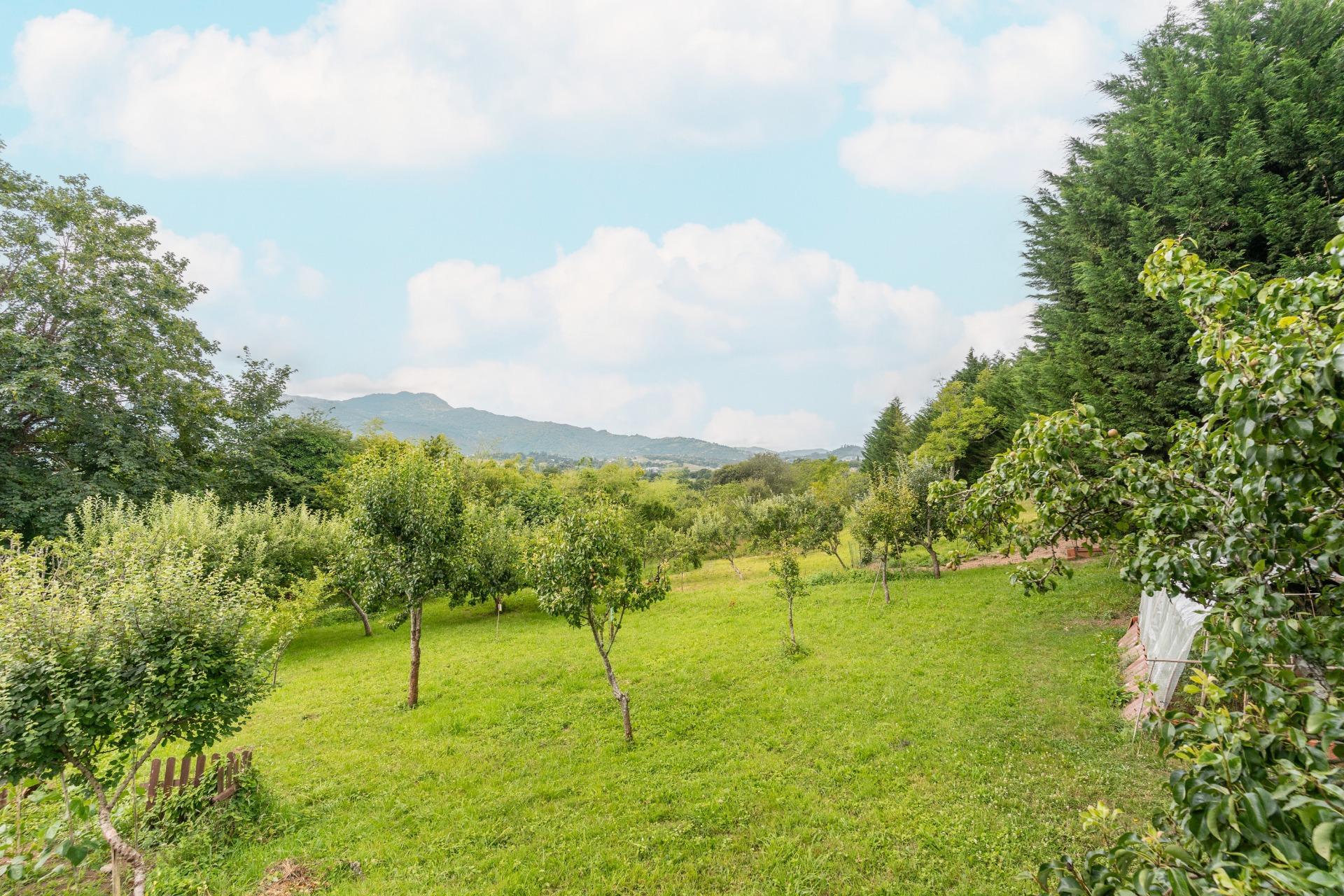 Casas o chalets-Venta-Las Navas del MarquÃ©s-910507-Foto-97