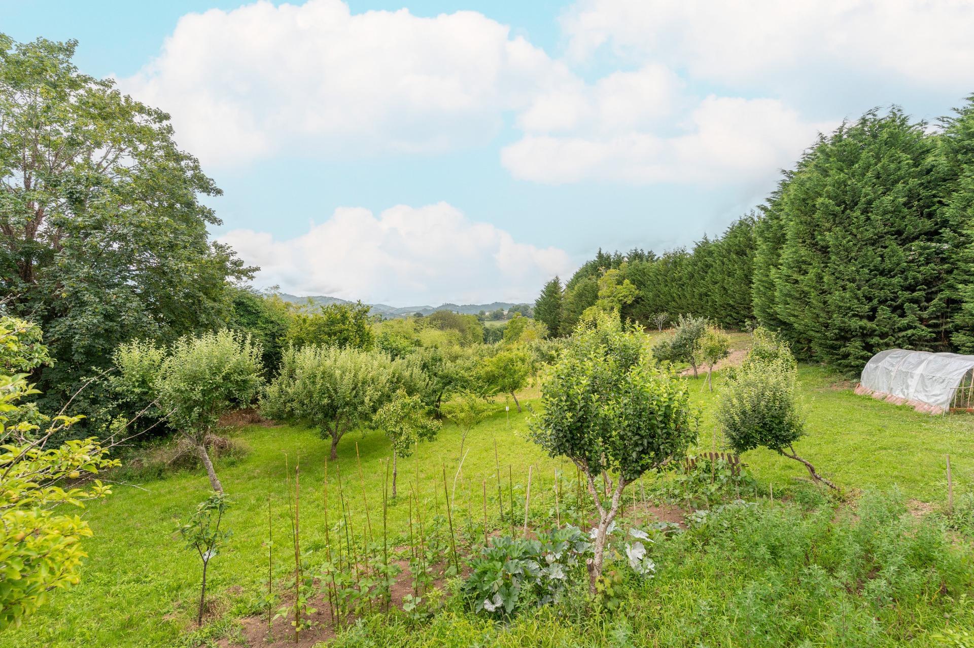 Casas o chalets-Venta-Las Navas del MarquÃ©s-910507-Foto-96