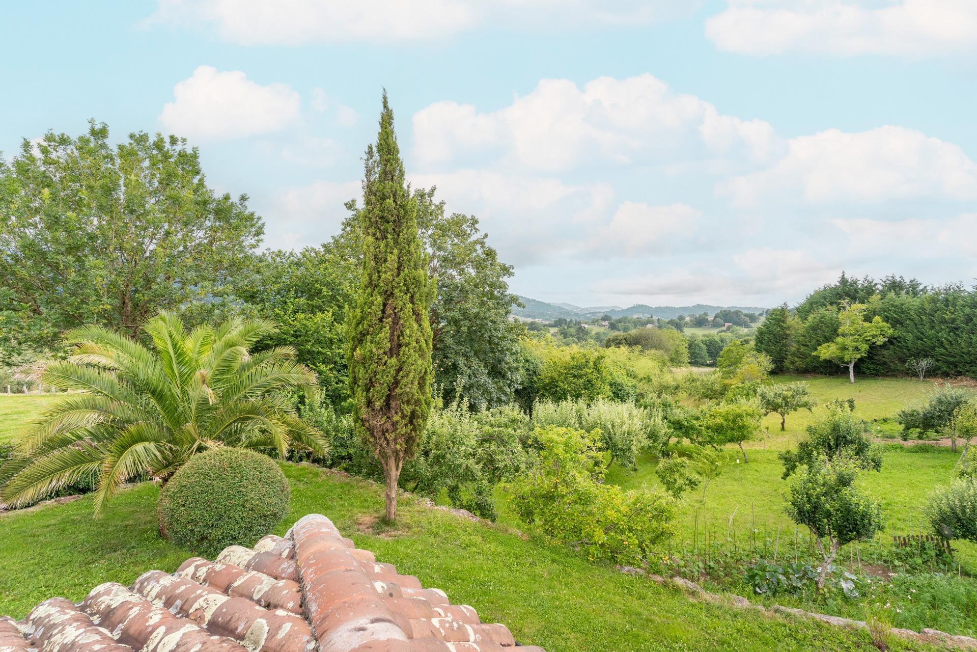 Casas o chalets-Venta-Las Navas del MarquÃ©s-910507-Foto-95