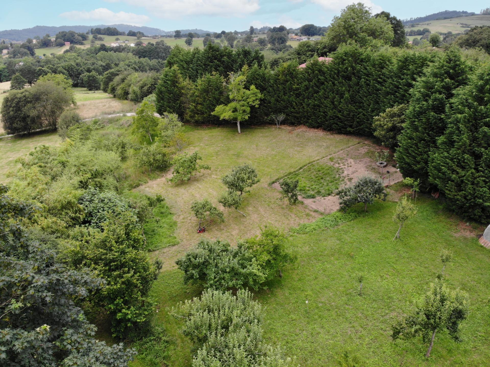 Casas o chalets-Venta-Las Navas del MarquÃ©s-910507-Foto-98