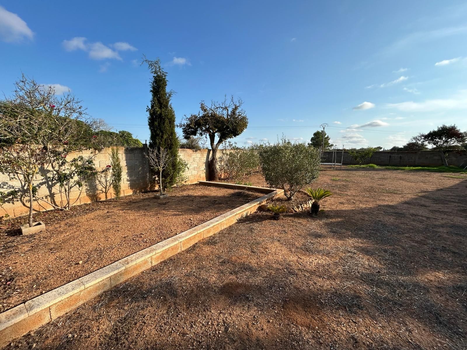 Casas o chalets-Venta-Llucmajor-1969726-Foto-14