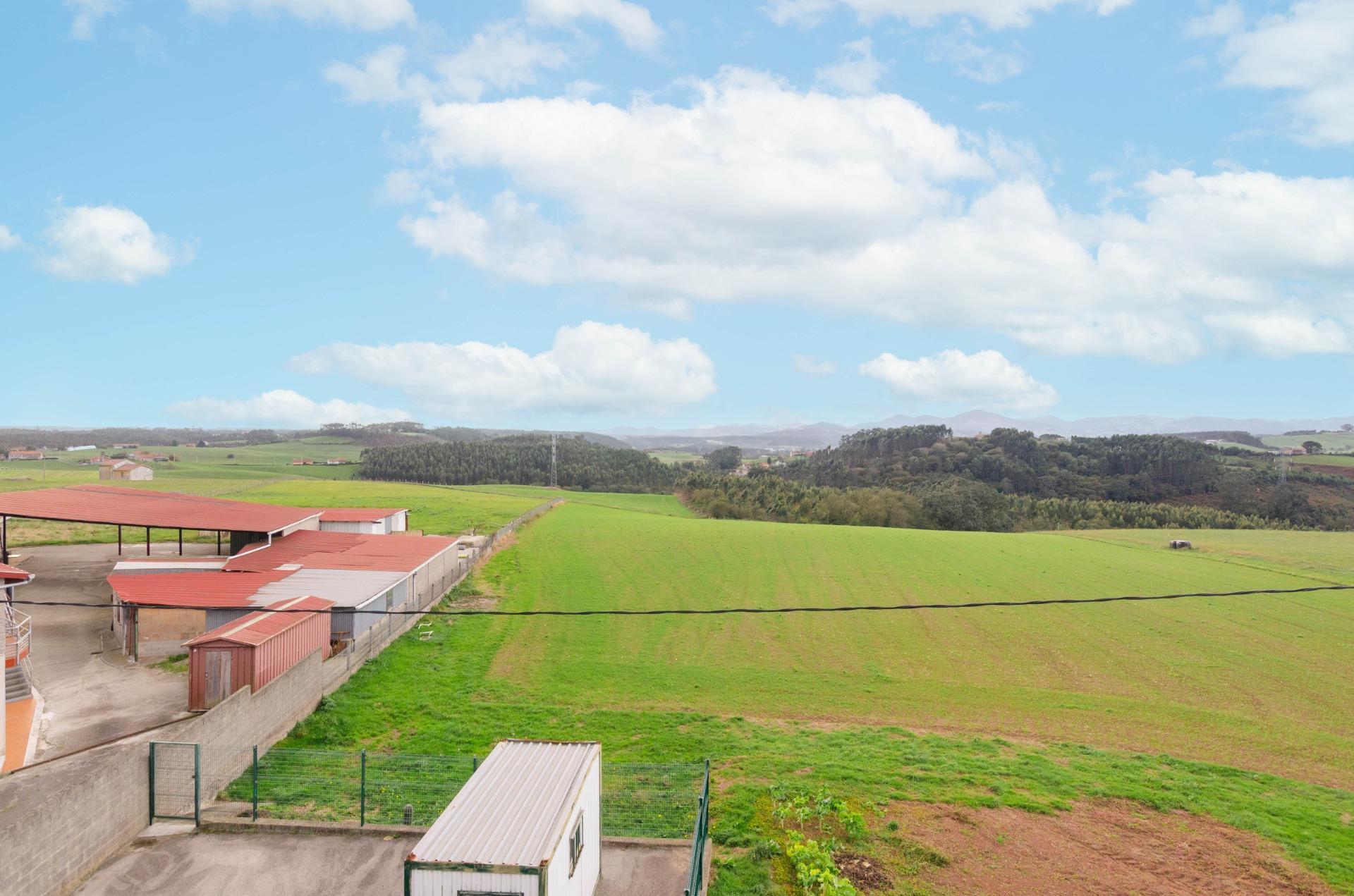 Casas o chalets-Venta-GozÃ³n-1969756-Foto-59