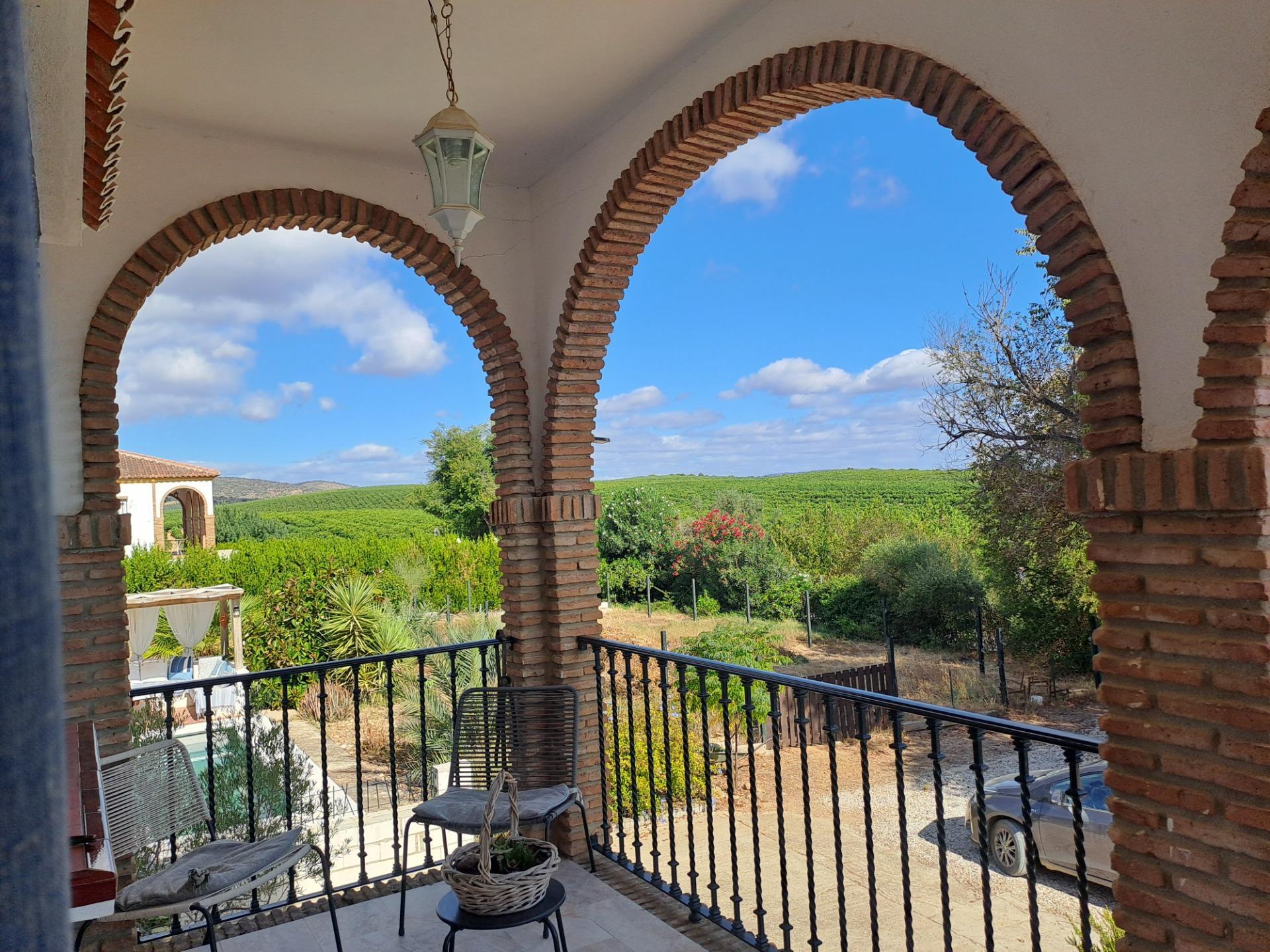 Casas o chalets-Venta-Cantillana-1969732