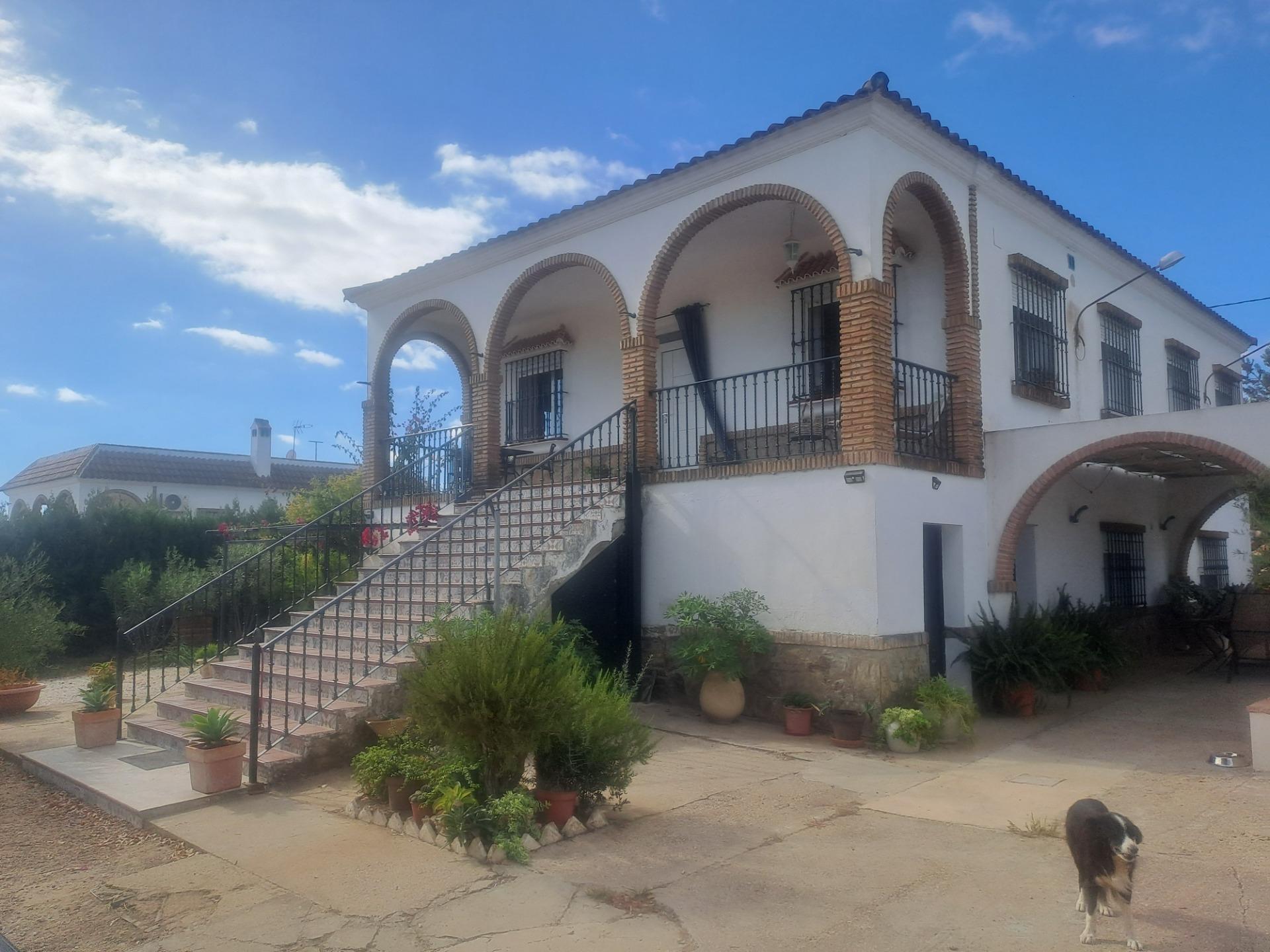 Casas o chalets-Venta-Cantillana-1969732-Foto-23