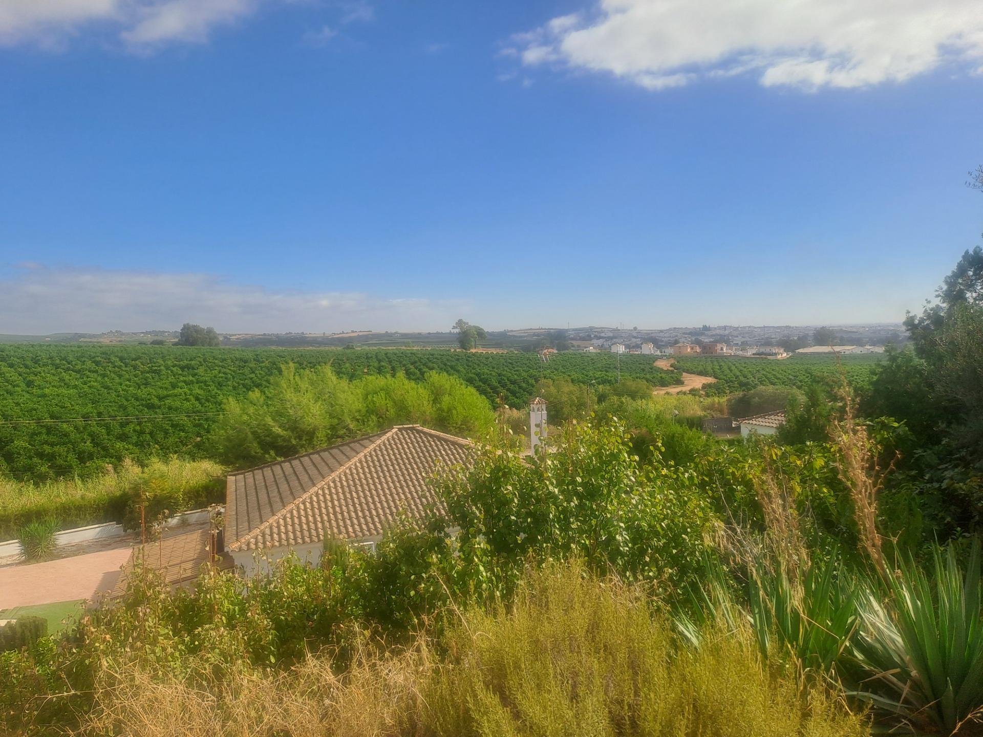 Casas o chalets-Venta-Cantillana-1969732-Foto-21