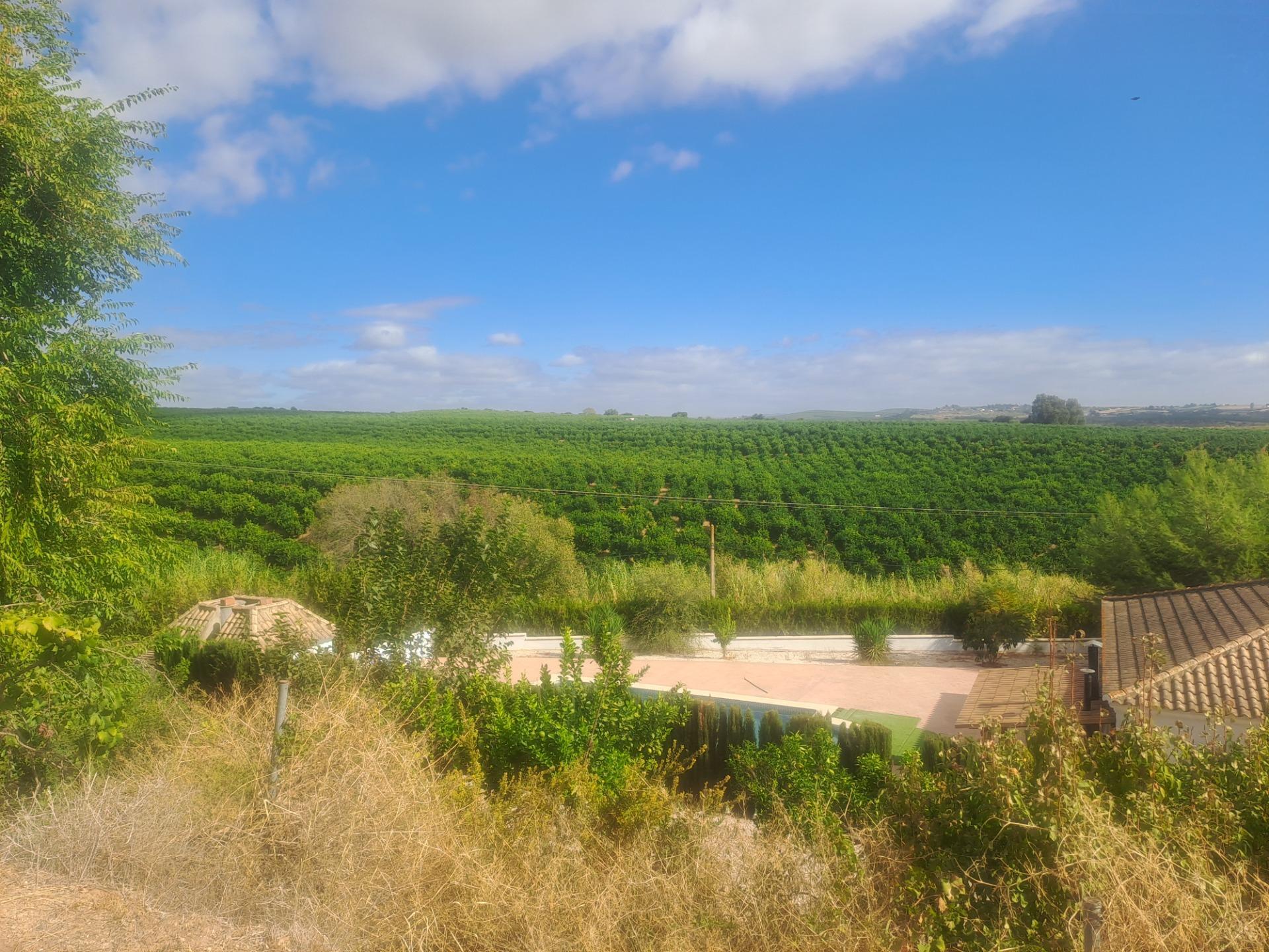Casas o chalets-Venta-Cantillana-1969732-Foto-22