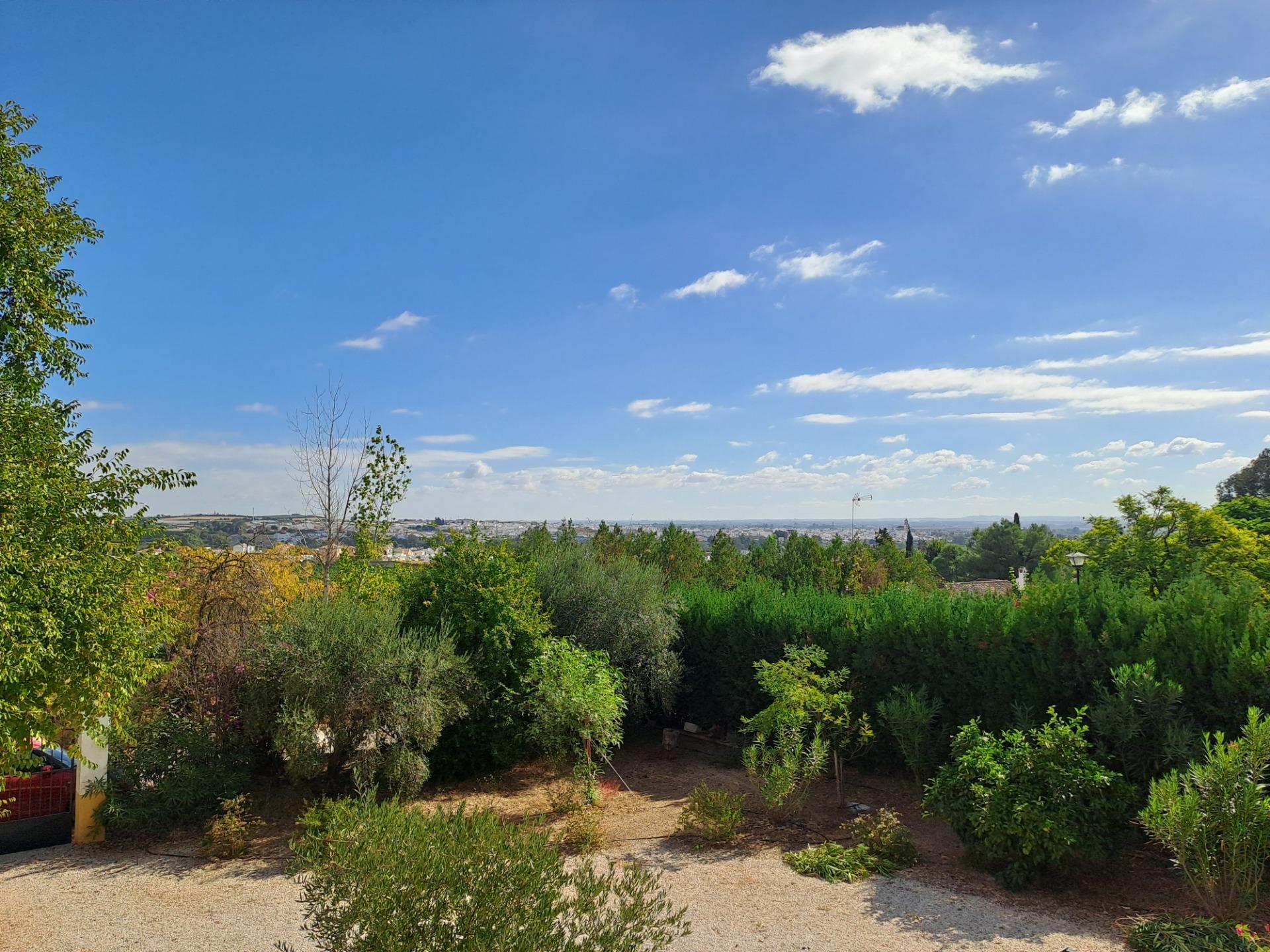 Casas o chalets-Venta-Cantillana-1969732-Foto-25