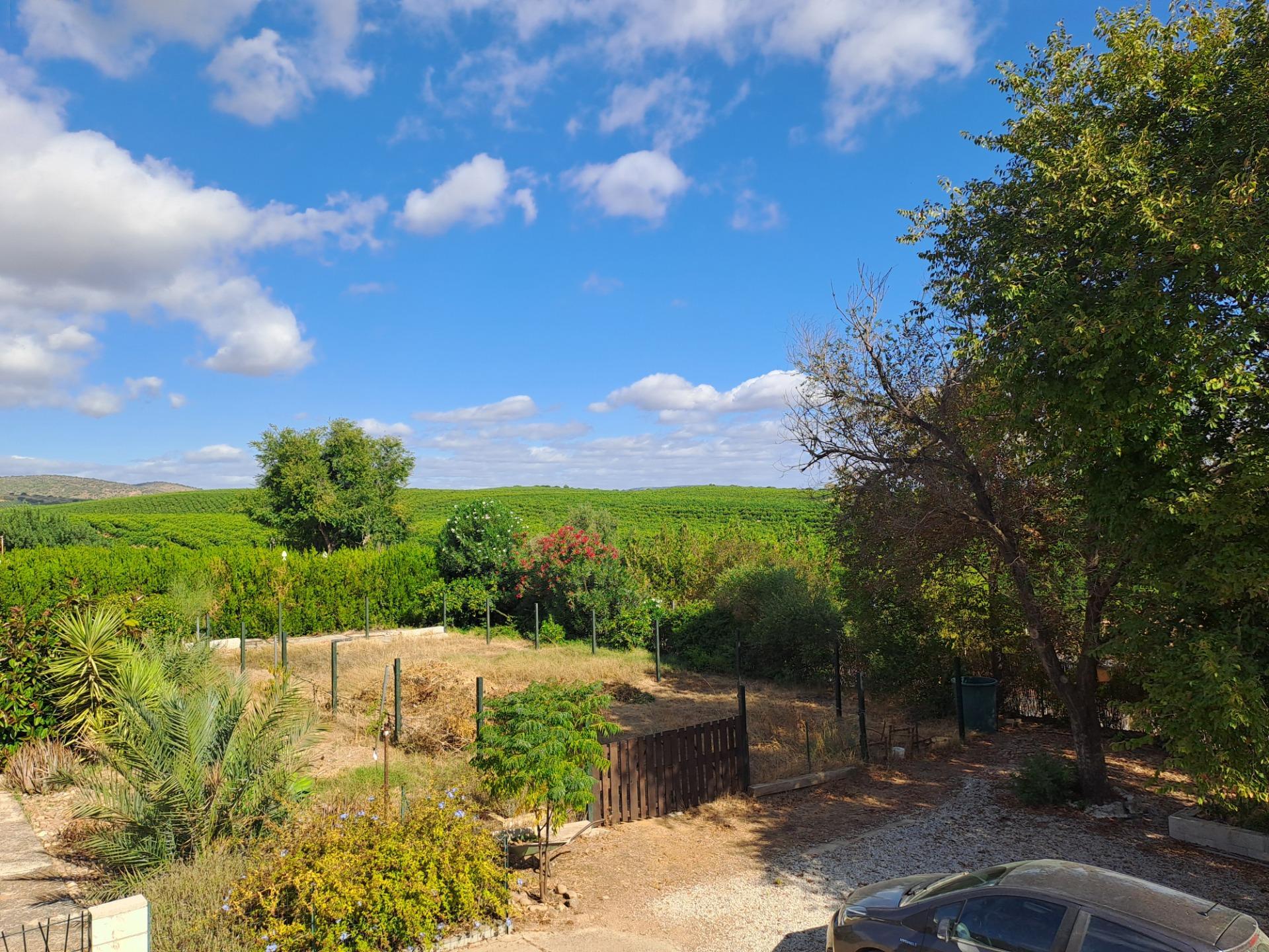 Casas o chalets-Venta-Cantillana-1969732-Foto-26