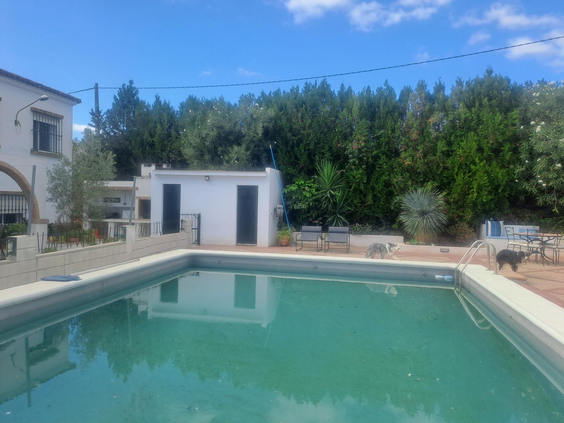 Casas o chalets-Venta-Cantillana-1969732-Foto-55