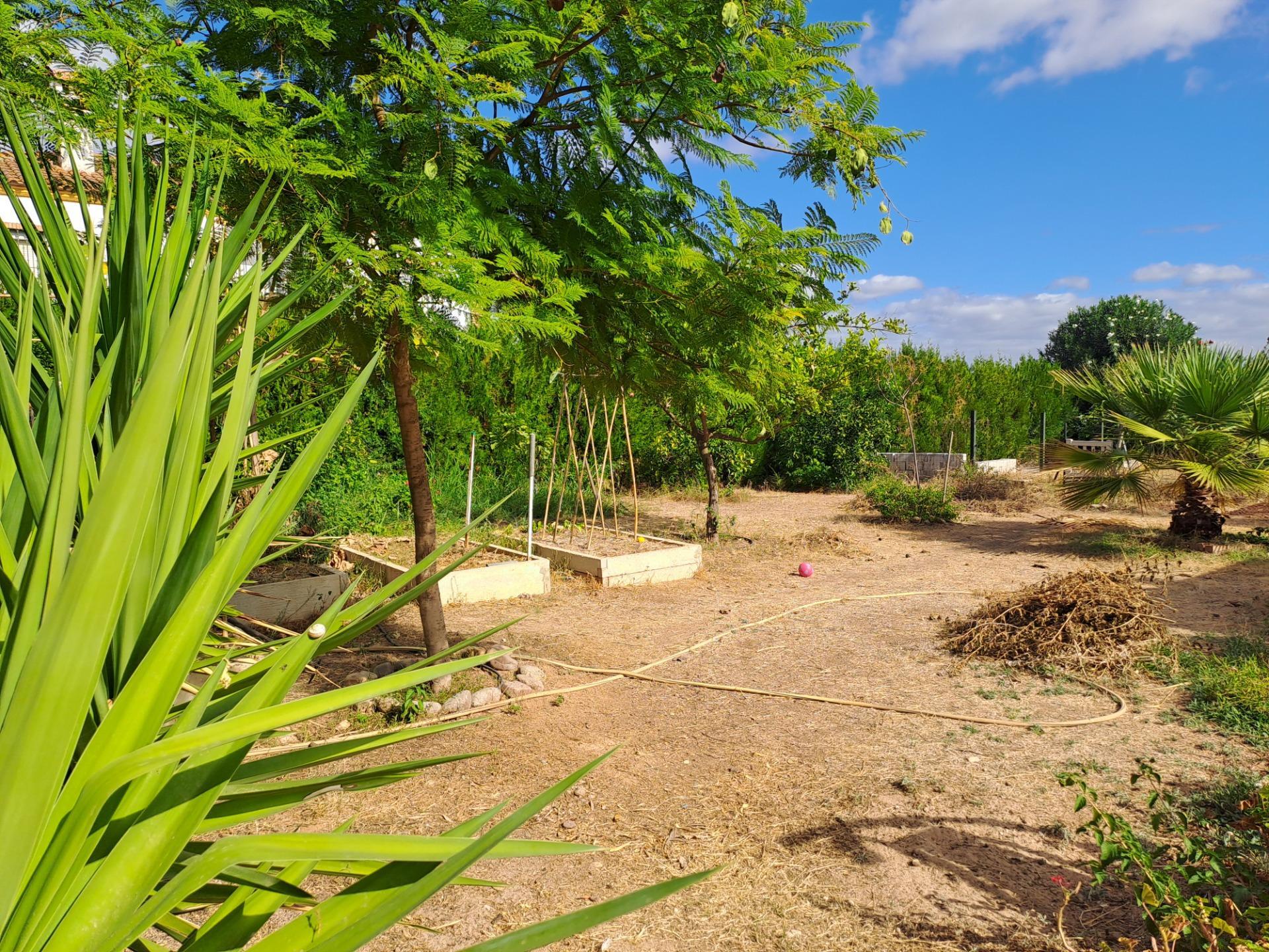 Casas o chalets-Venta-Cantillana-1969732-Foto-54