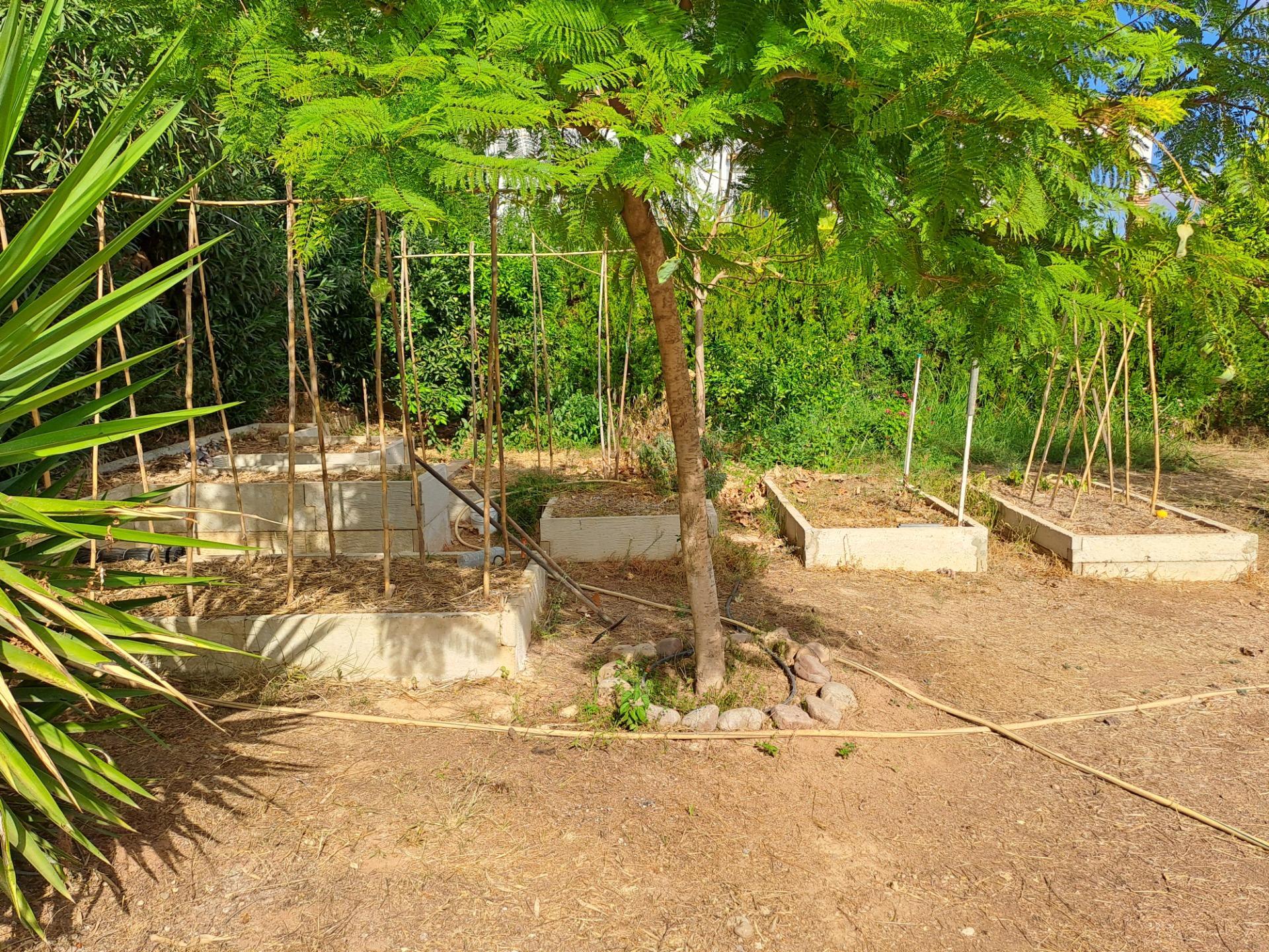 Casas o chalets-Venta-Cantillana-1969732-Foto-50