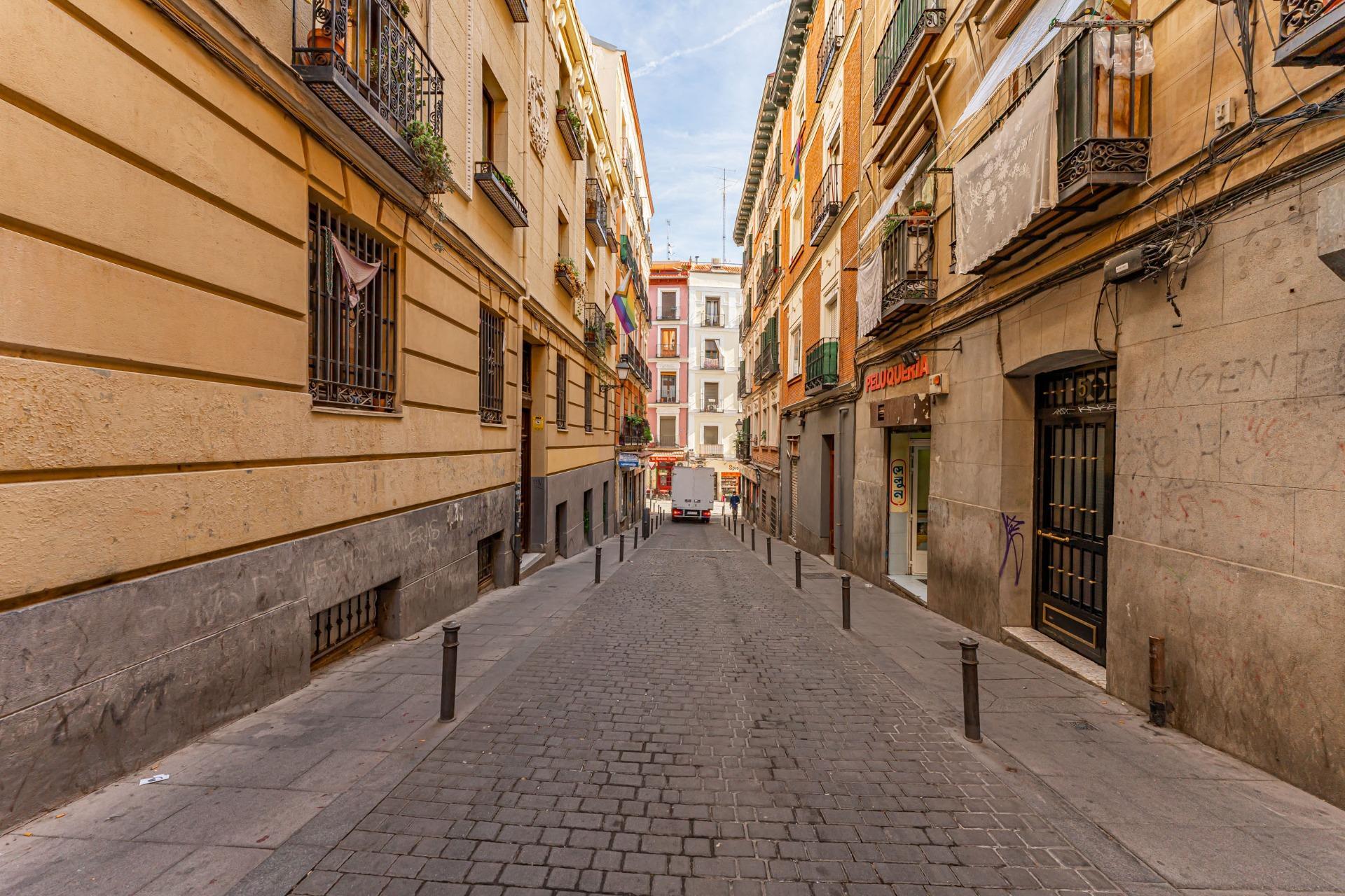 Pisos-Venta-Madrid-1439348-Foto-19