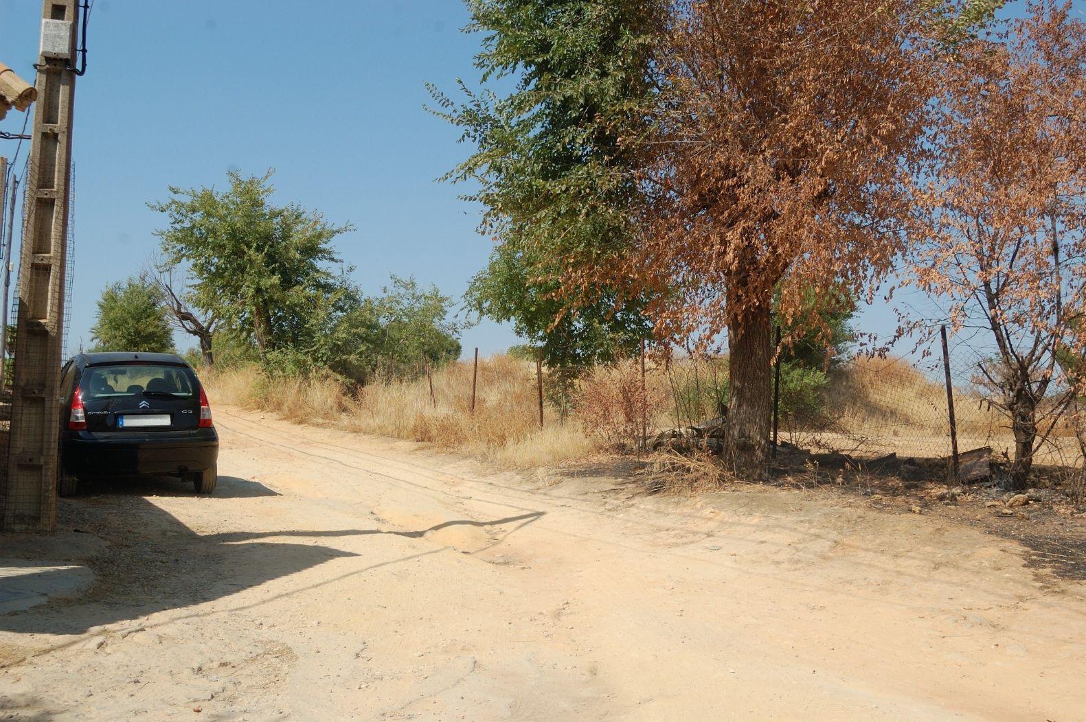 Casas o chalets-Venta-AlcalÃ¡ de GuadaÃ­ra-1830041-Foto-22