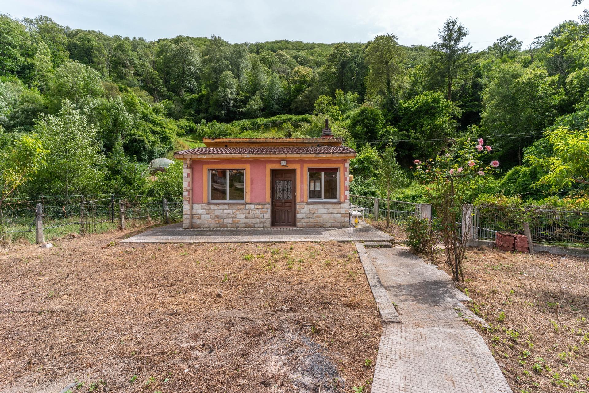 Casas o chalets-Venta-Mieres-1829297-Foto-2