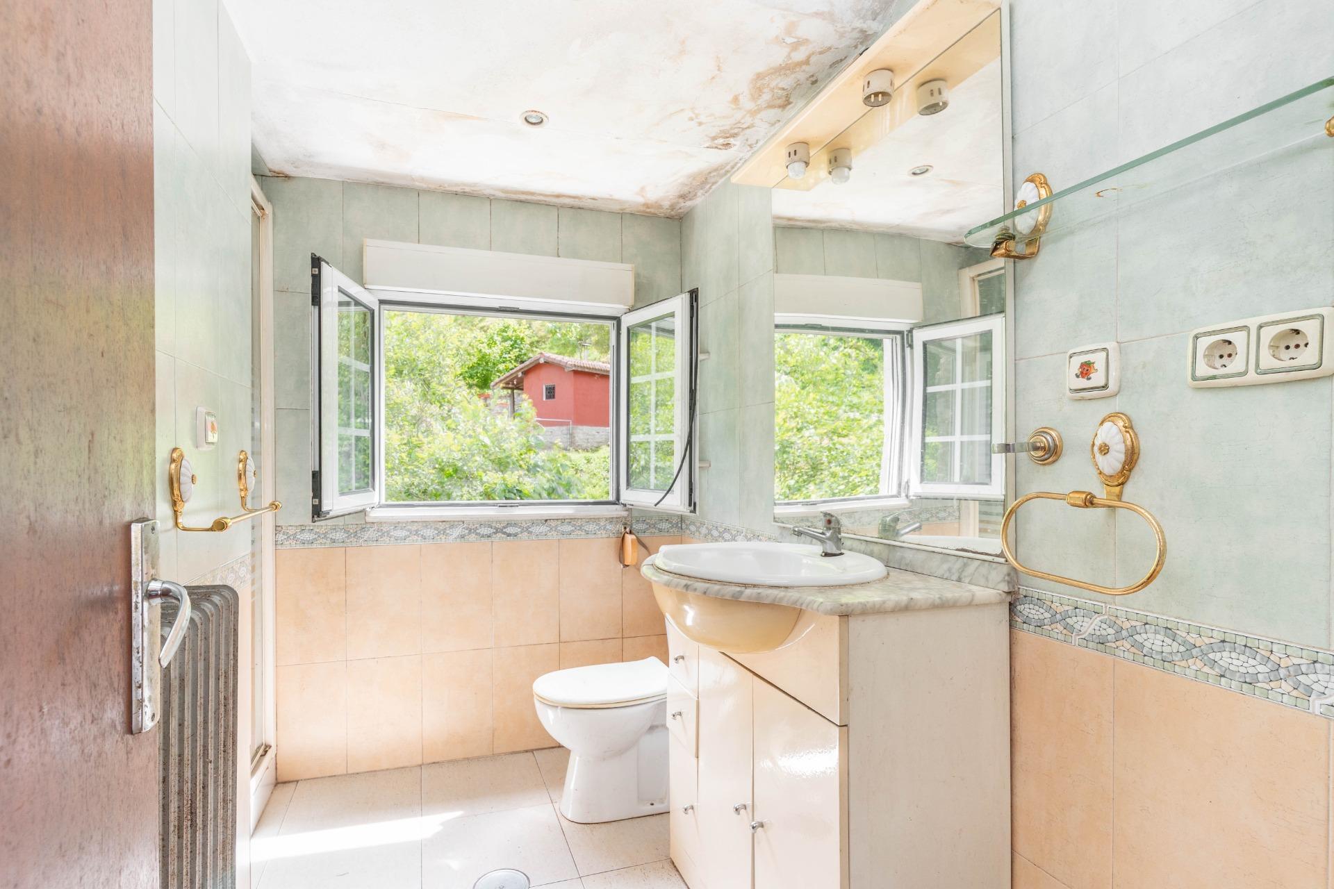 Casas o chalets-Venta-Mieres-1829297-Foto-16