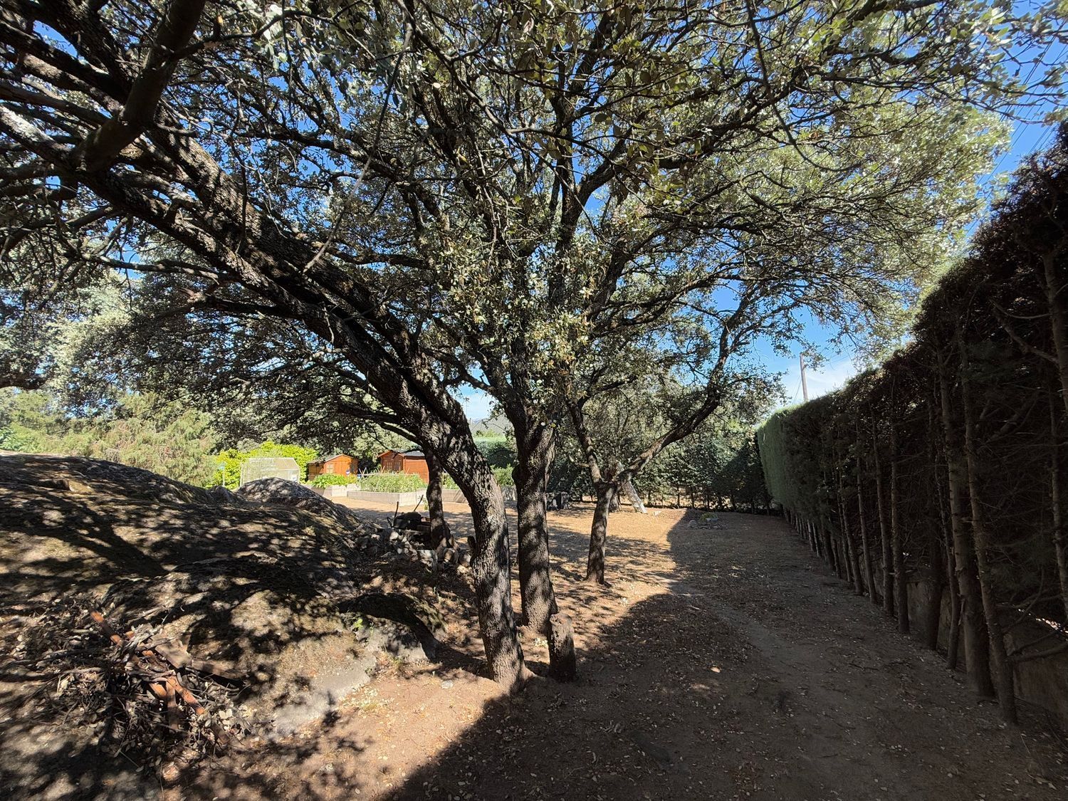 Casas o chalets-Venta-Valdemorillo-1834879-Foto-40