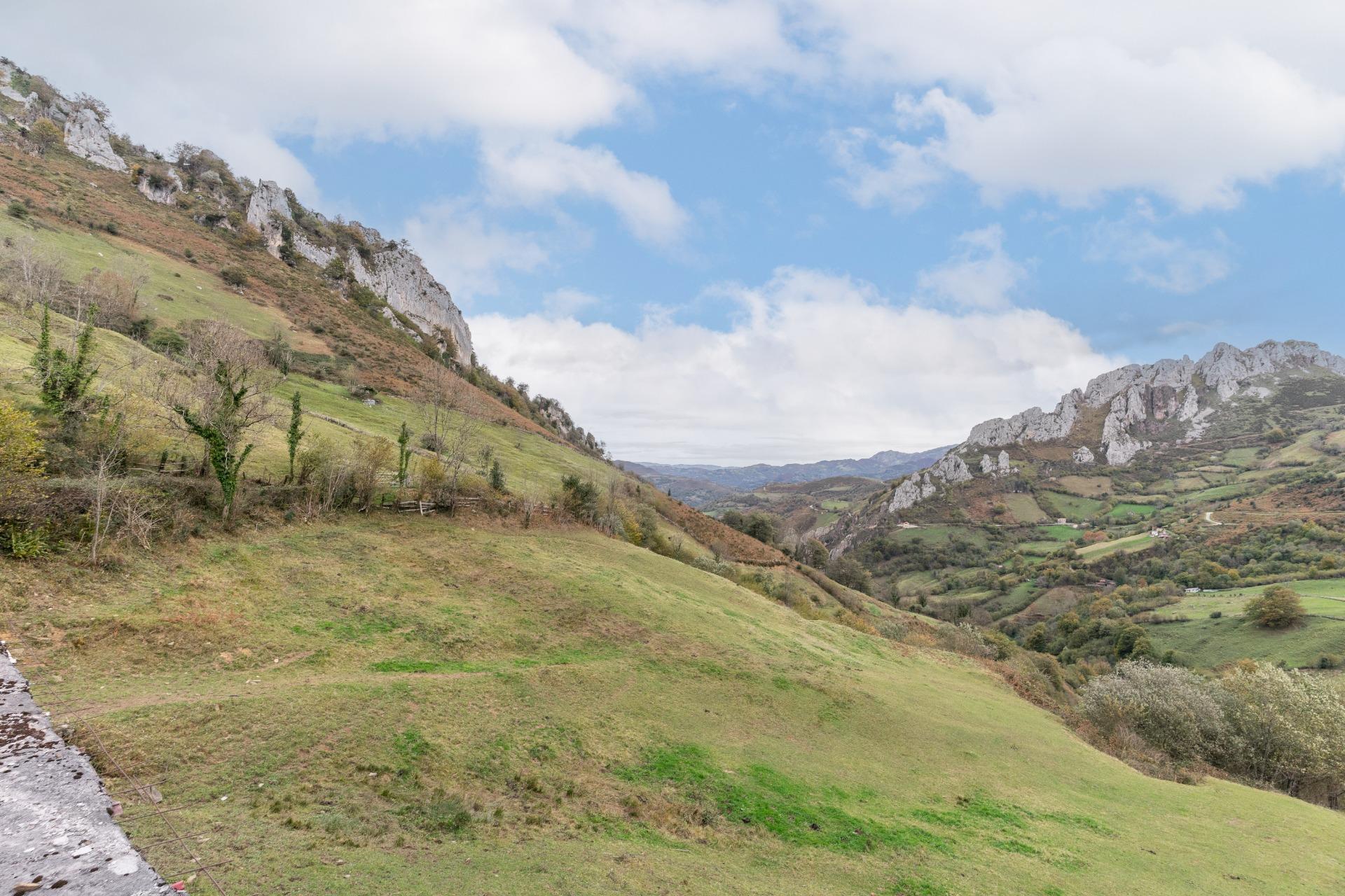 Fincas y solares-Venta-Laviana-1969762-Foto-5