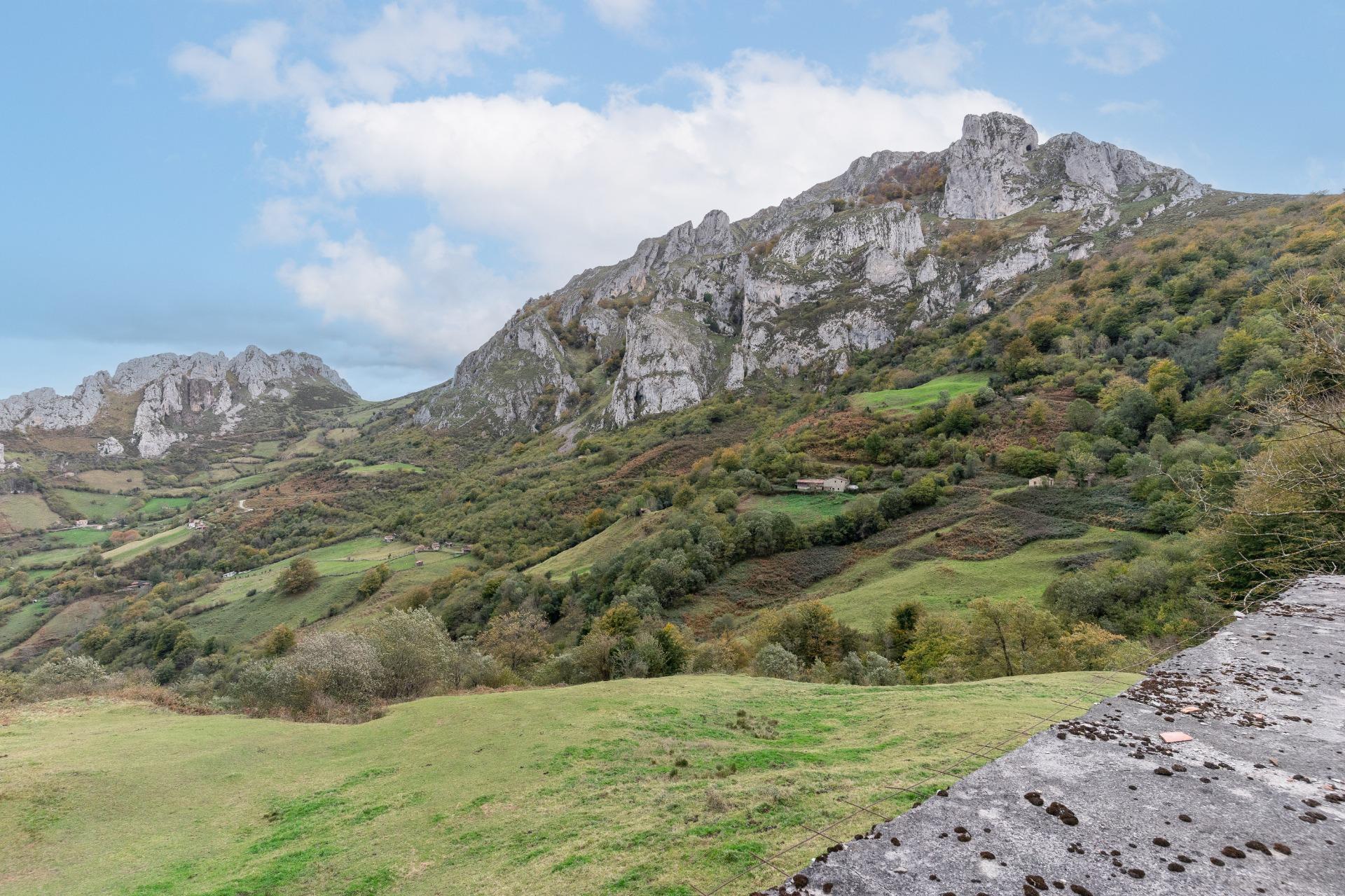 Fincas y solares-Venta-Laviana-1969762-Foto-4