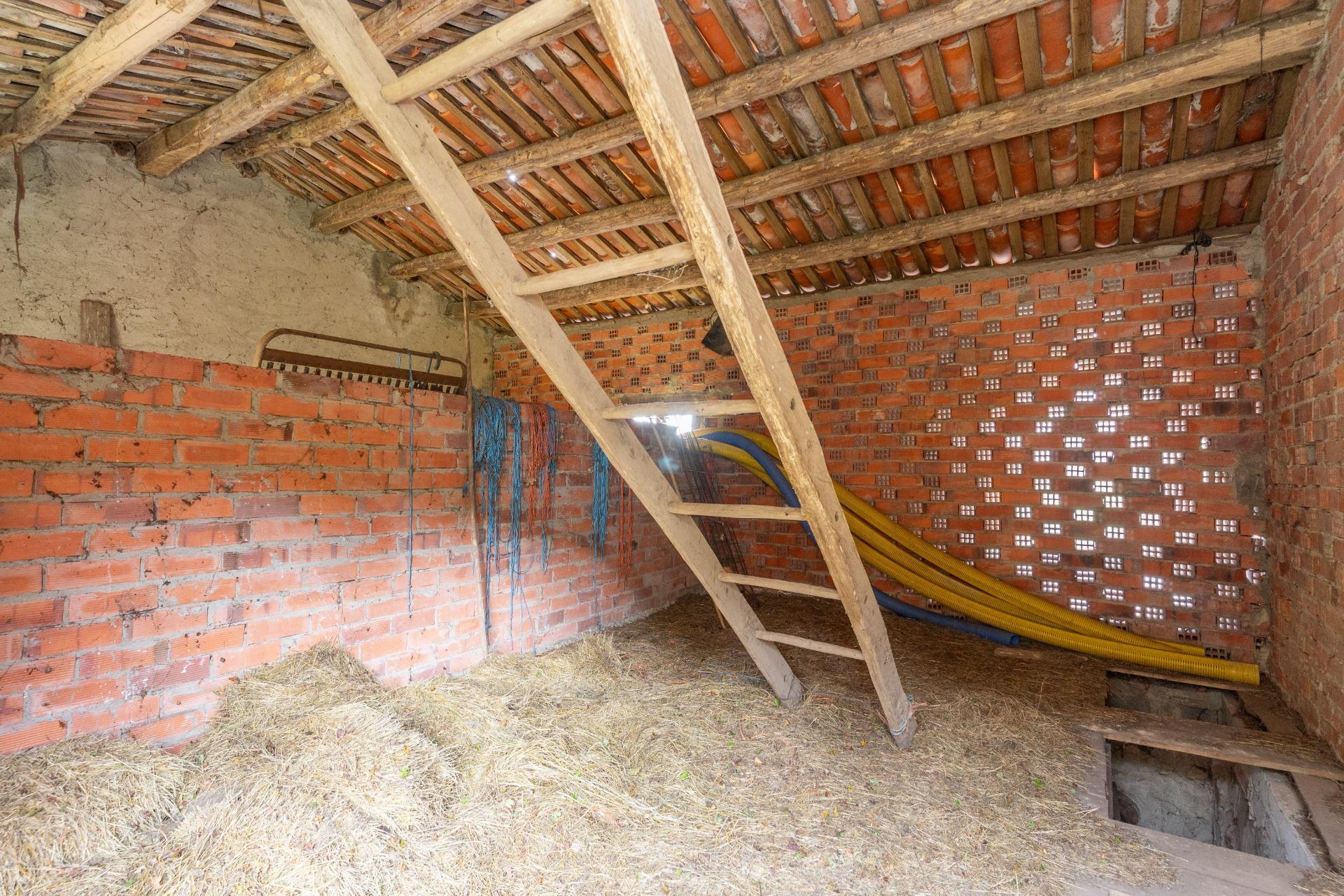 Fincas y solares-Venta-Laviana-1969762-Foto-9