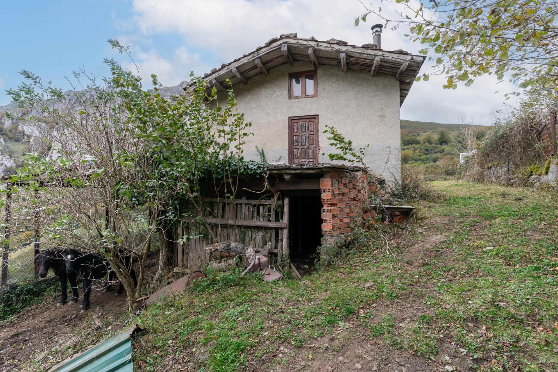 Fincas y solares-Venta-Laviana-1969762-Foto-2