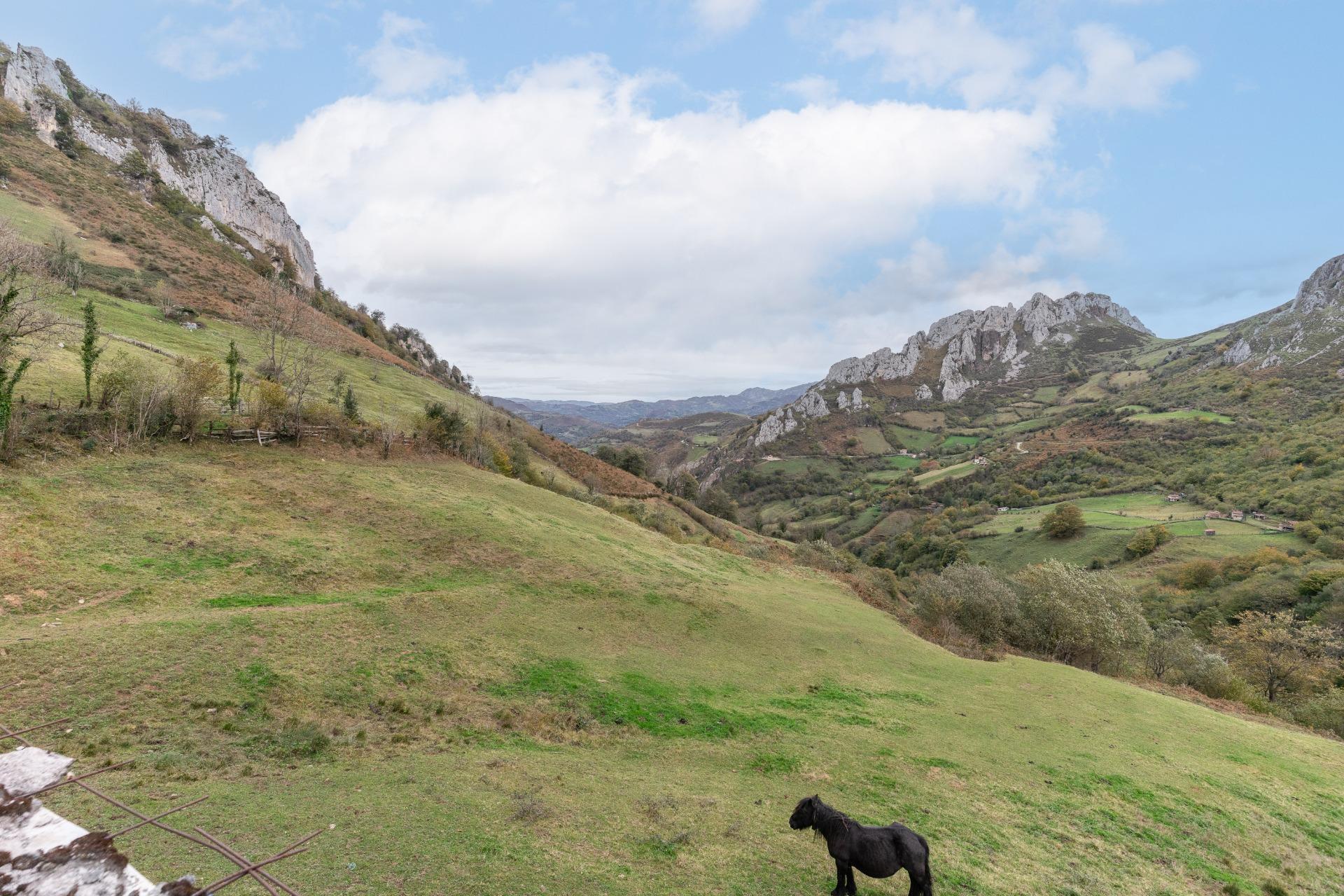 Fincas y solares-Venta-Laviana-1969762-Foto-11