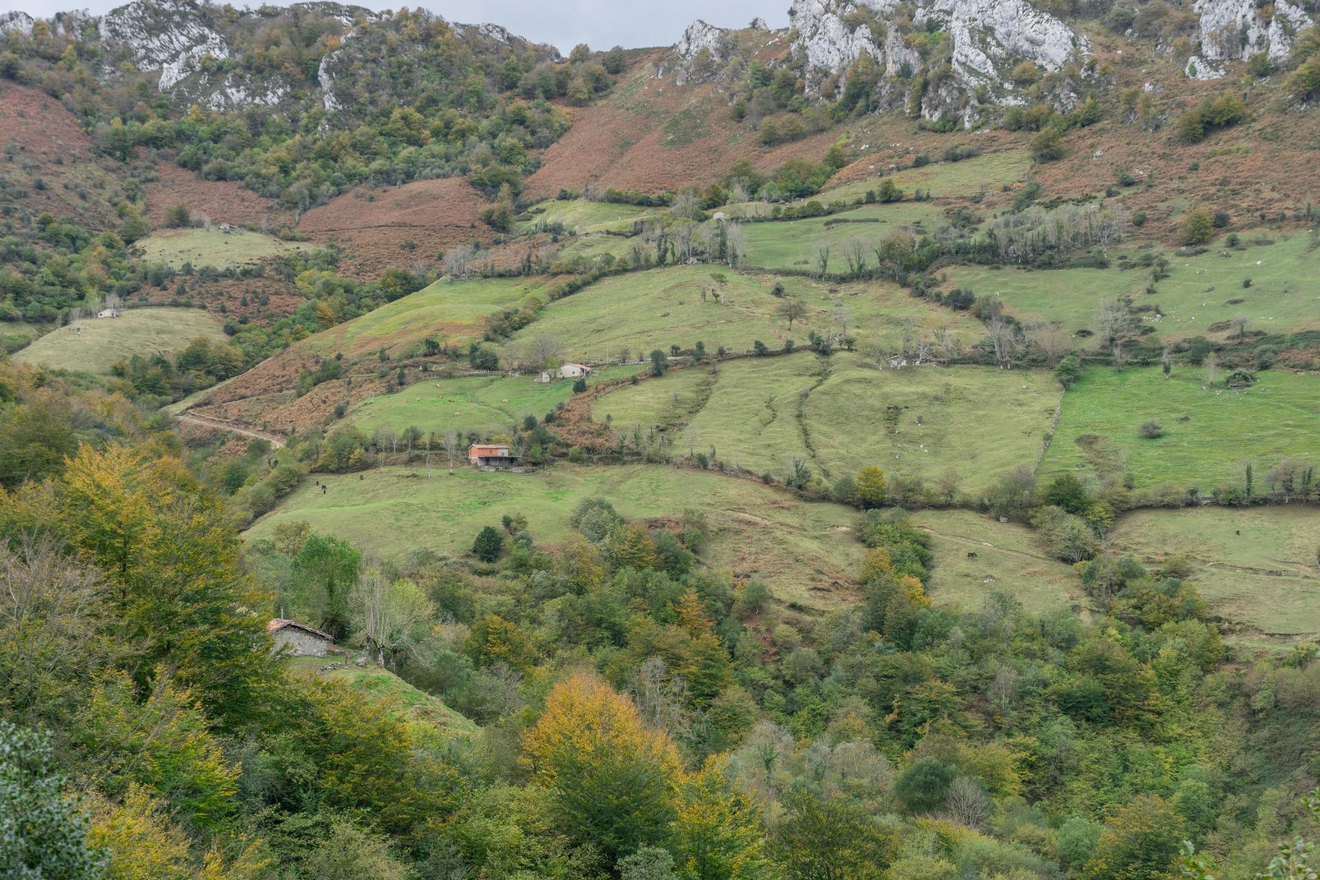 Fincas y solares-Venta-Laviana-1969762-Foto-17