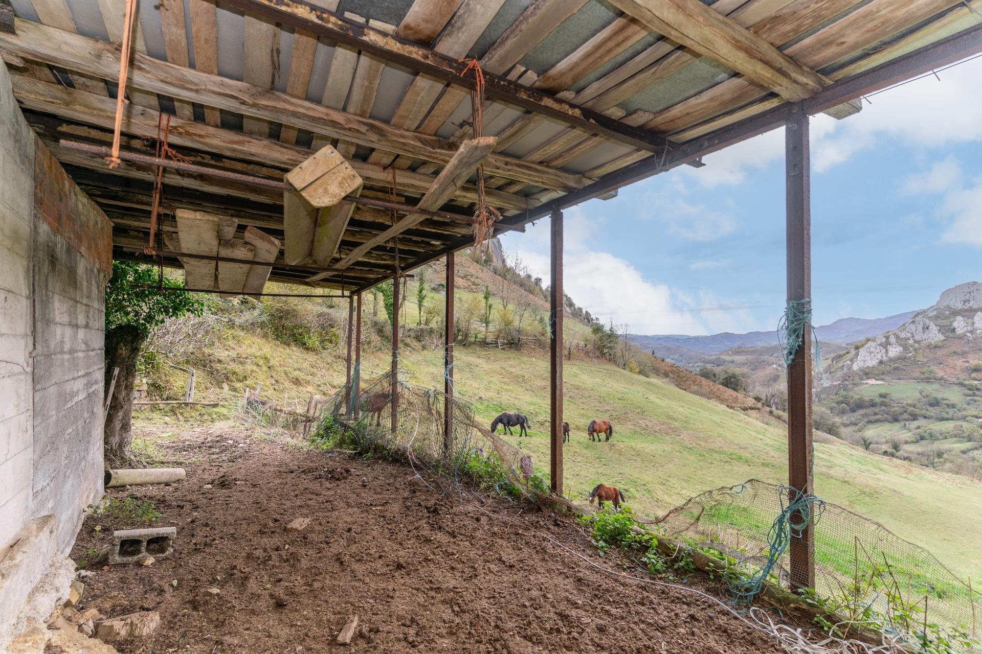 Fincas y solares-Venta-Laviana-1969762-Foto-12