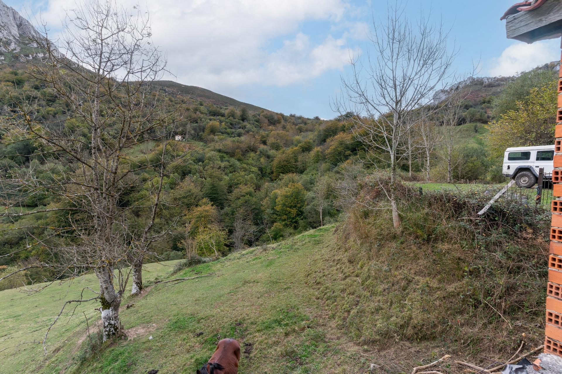 Fincas y solares-Venta-Laviana-1969762-Foto-16