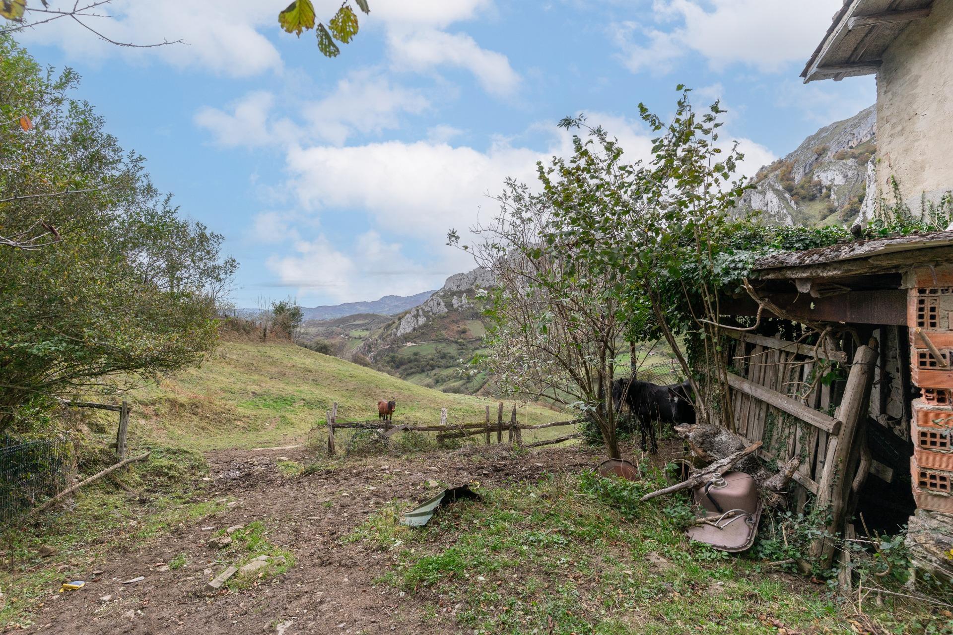 Fincas y solares-Venta-Laviana-1969762-Foto-20