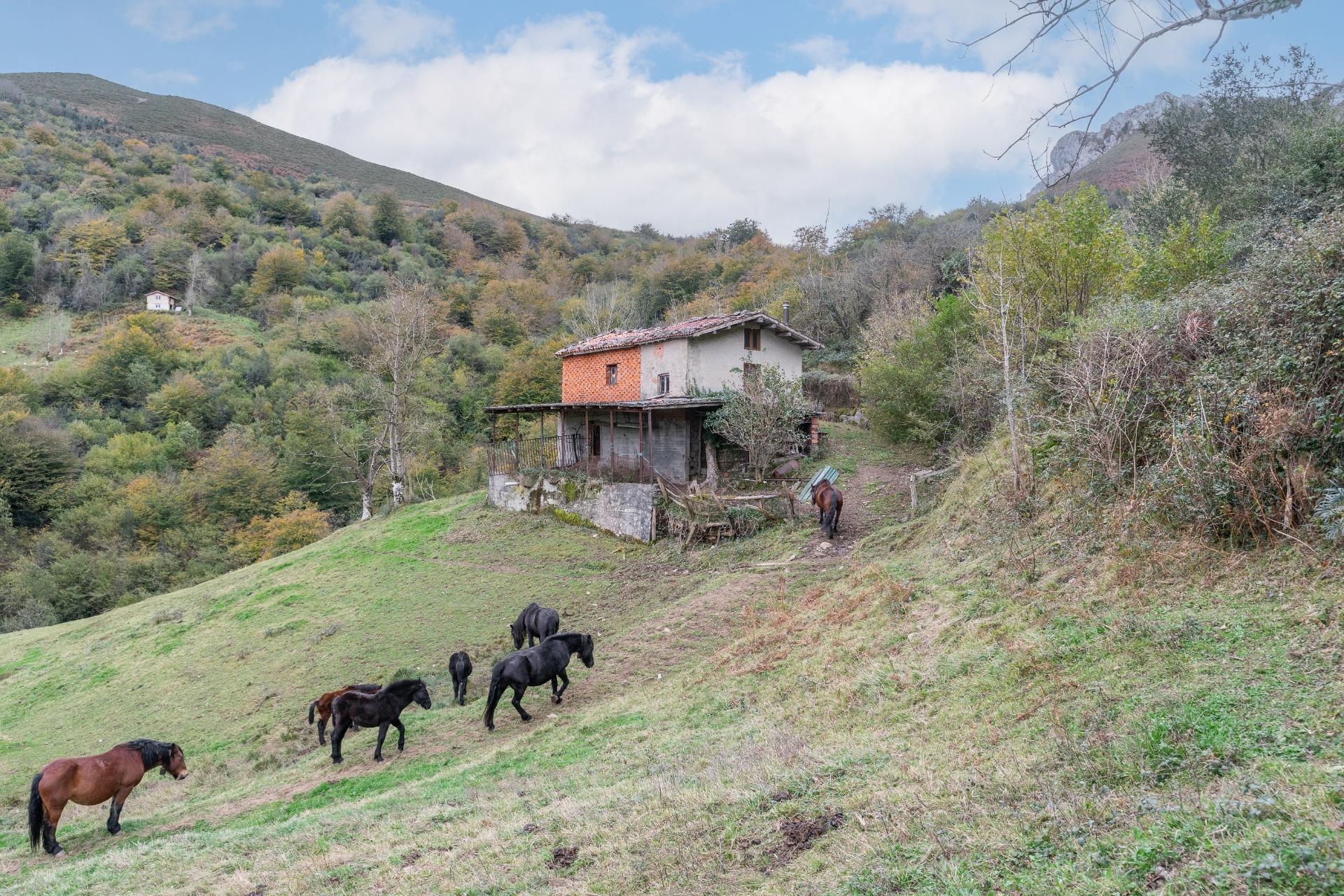 Fincas y solares-Venta-Laviana-1969762-Foto-19