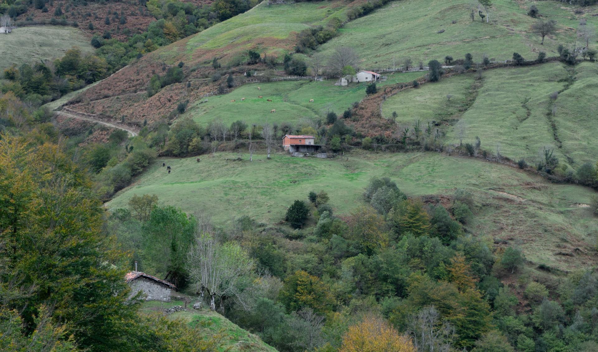 Fincas y solares-Venta-Laviana-1969762-Foto-21