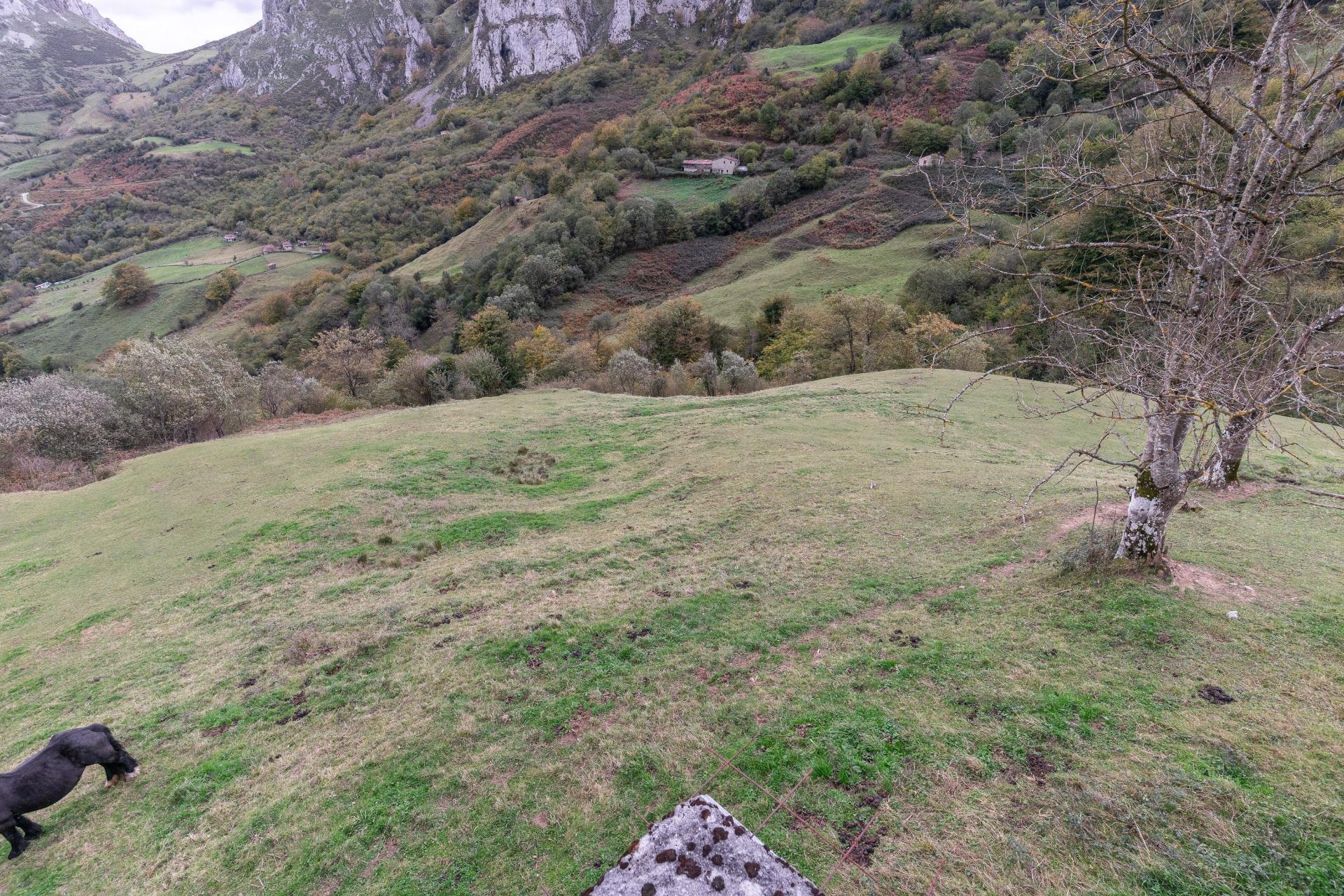 Fincas y solares-Venta-Laviana-1969762-Foto-28