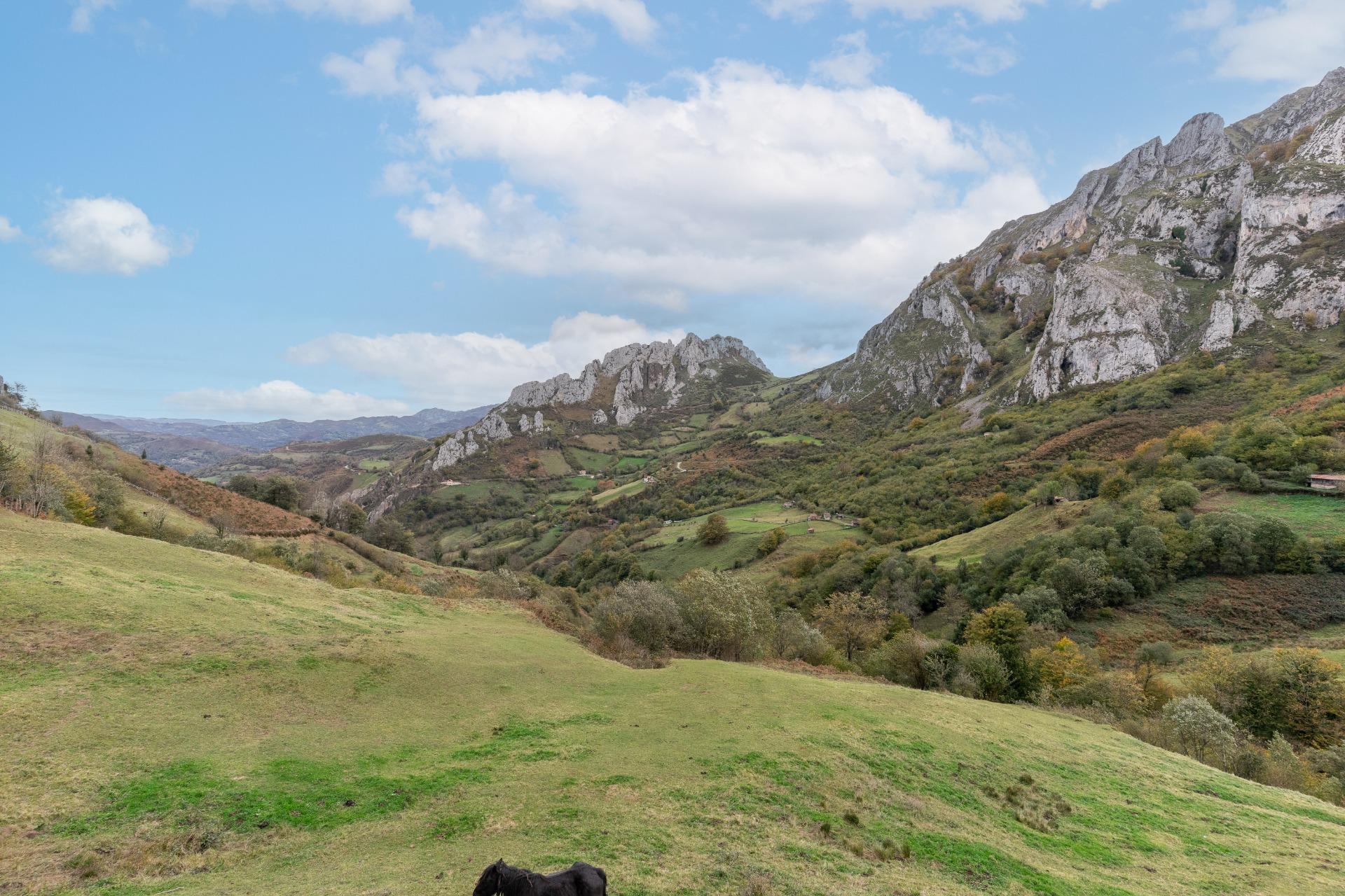 Fincas y solares-Venta-Laviana-1969762-Foto-27