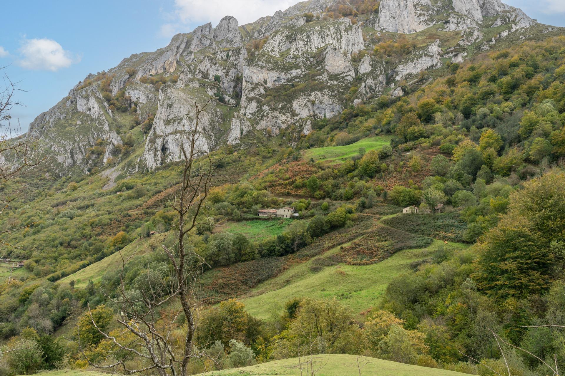 Fincas y solares-Venta-Laviana-1969762-Foto-29