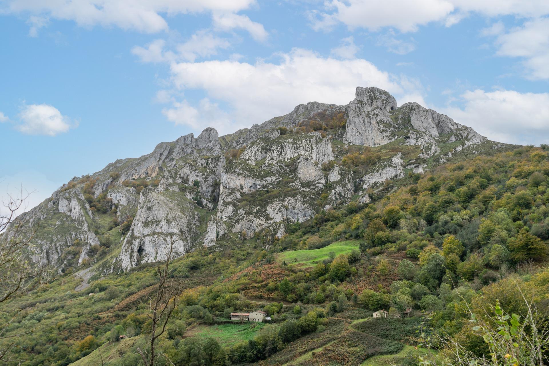 Fincas y solares-Venta-Laviana-1969762-Foto-30