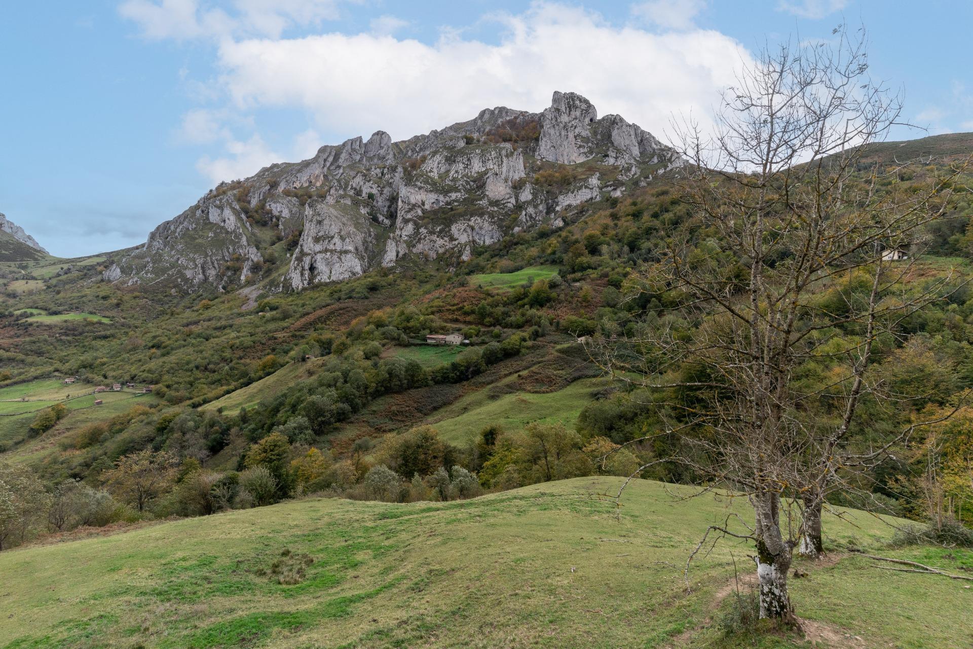 Fincas y solares-Venta-Laviana-1969762-Foto-25