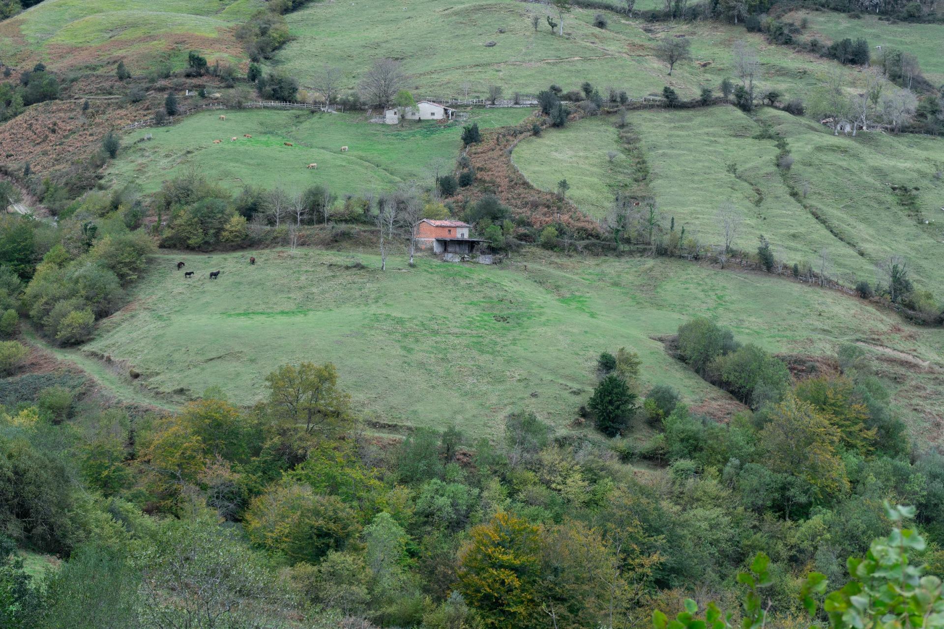 Fincas y solares-Venta-Laviana-1969762-Foto-34