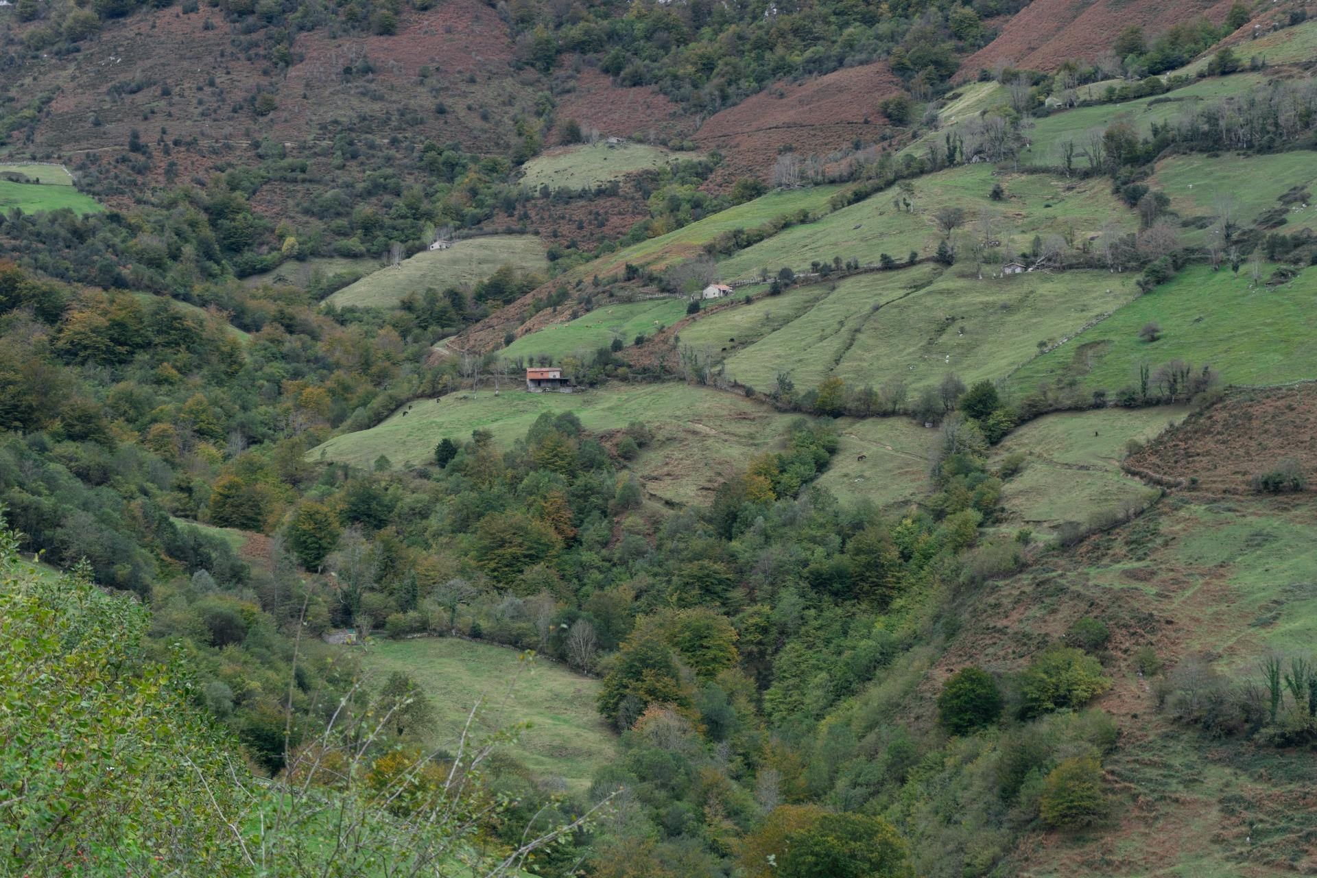 Fincas y solares-Venta-Laviana-1969762-Foto-35