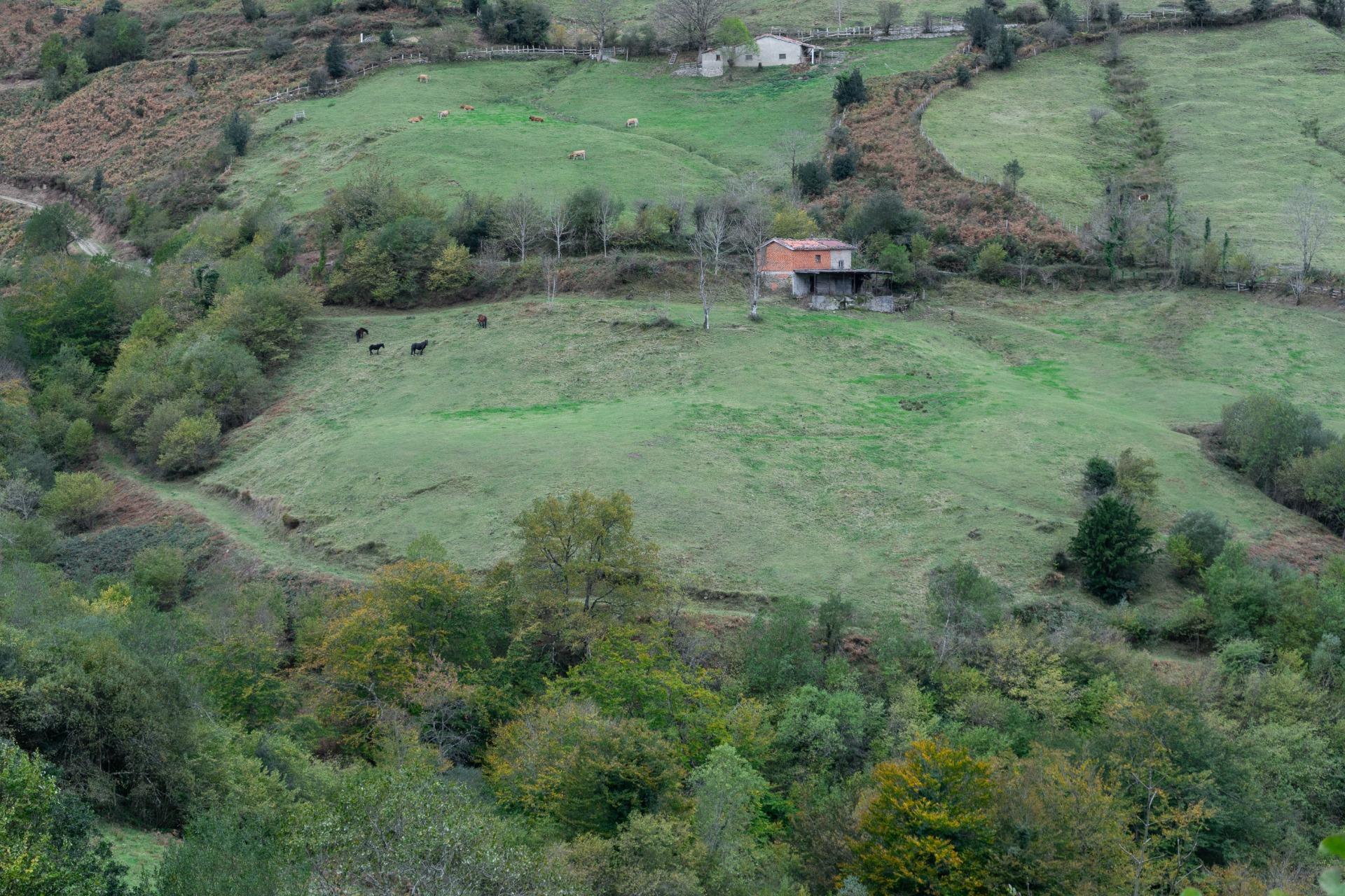 Fincas y solares-Venta-Laviana-1969762-Foto-31