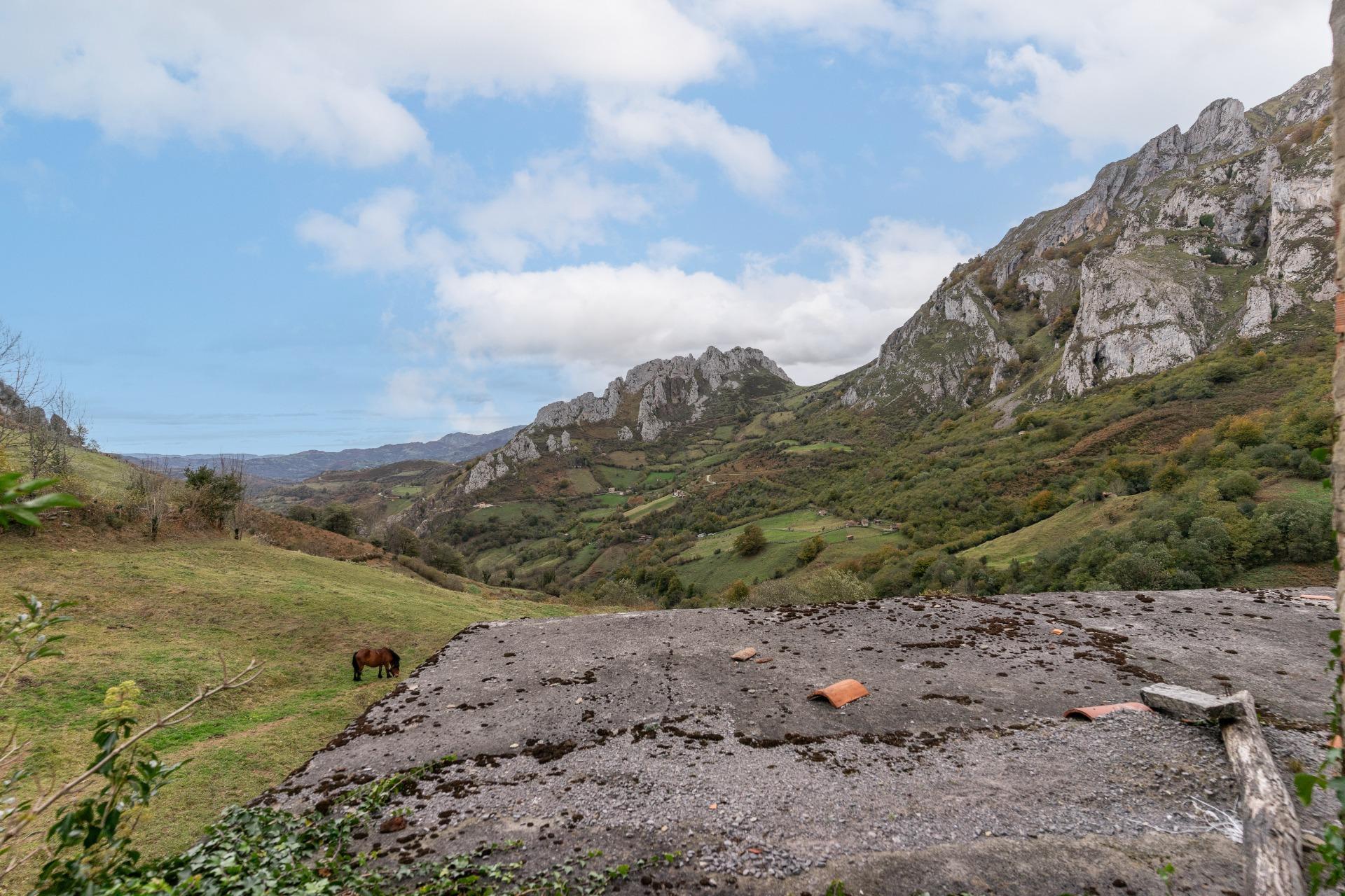 Fincas y solares-Venta-Laviana-1969762-Foto-32