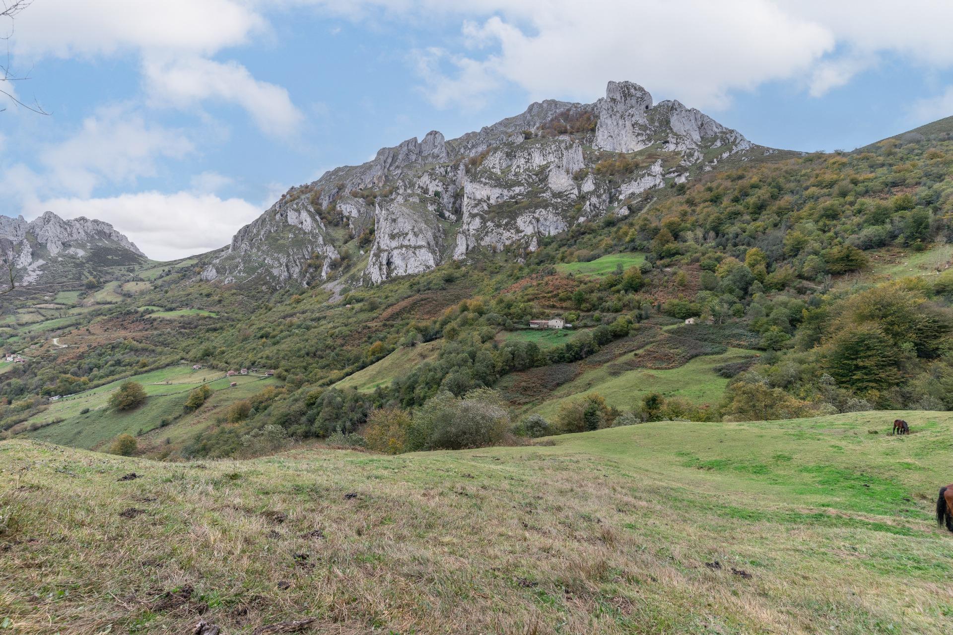 Fincas y solares-Venta-Laviana-1969762-Foto-40