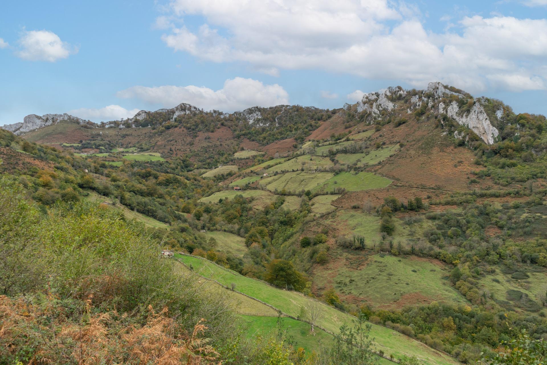 Fincas y solares-Venta-Laviana-1969762-Foto-37