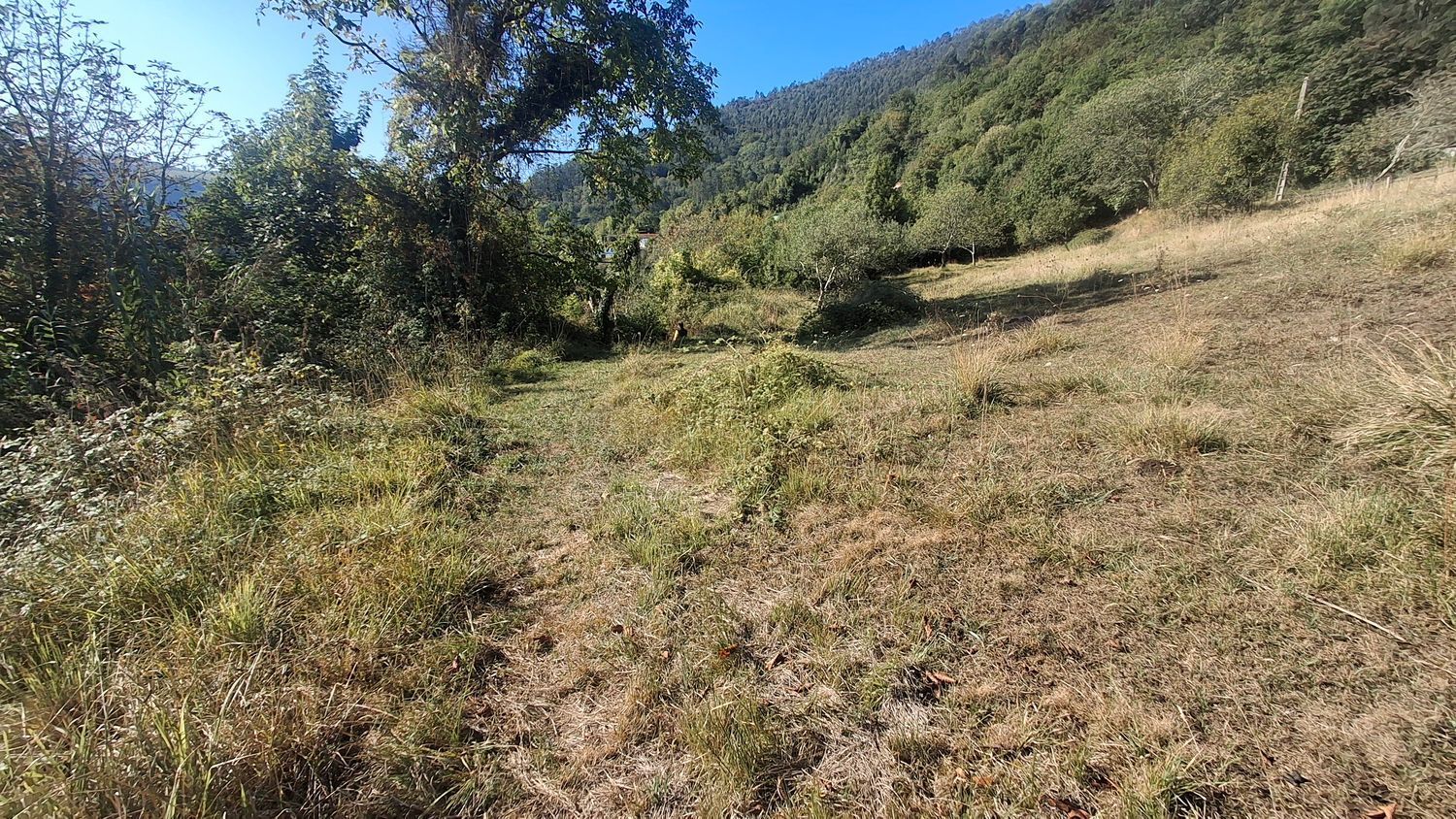 Fincas y solares-Venta-Villaviciosa-1969765-Foto-3