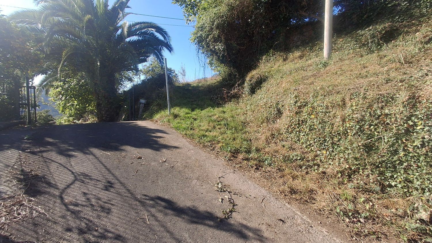 Fincas y solares-Venta-Villaviciosa-1969765-Foto-10