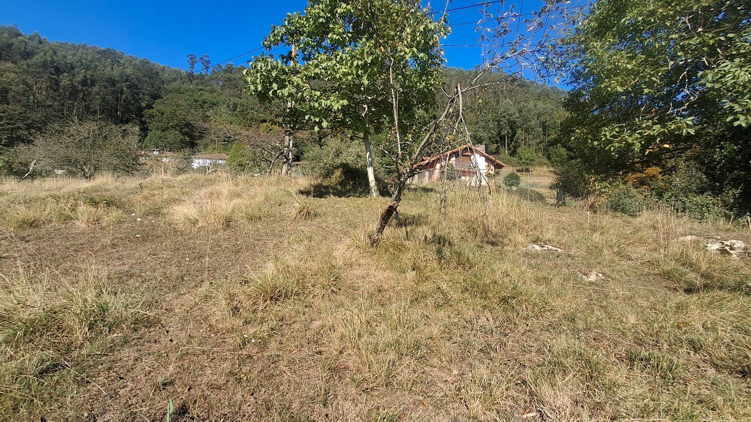 Fincas y solares-Venta-Villaviciosa-1969765-Foto-6