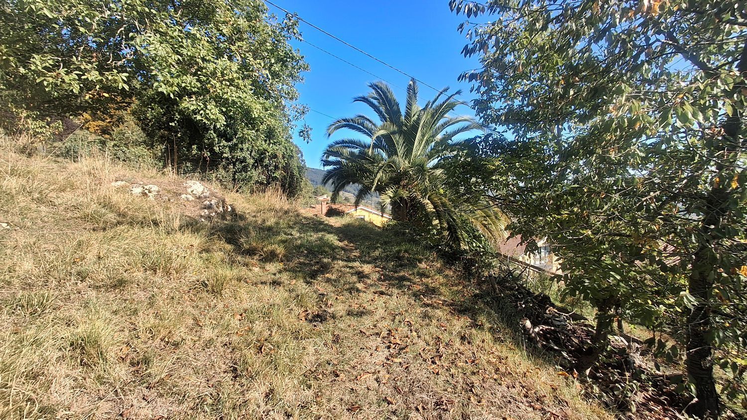 Fincas y solares-Venta-Villaviciosa-1969765-Foto-19