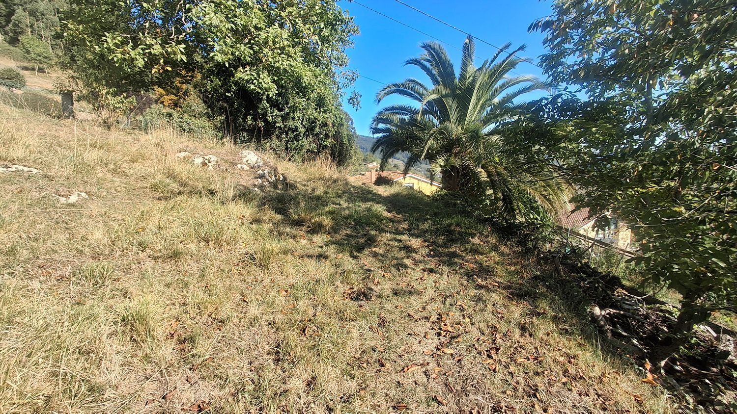 Fincas y solares-Venta-Villaviciosa-1969765-Foto-20