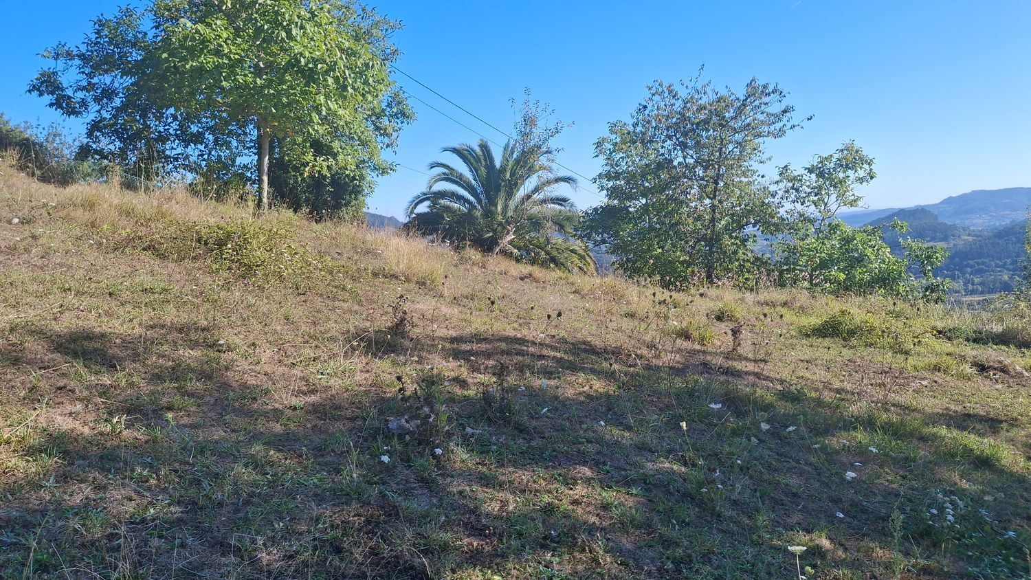 Fincas y solares-Venta-Villaviciosa-1969765-Foto-23