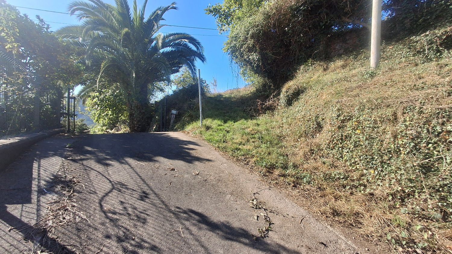 Fincas y solares-Venta-Villaviciosa-1969765-Foto-24