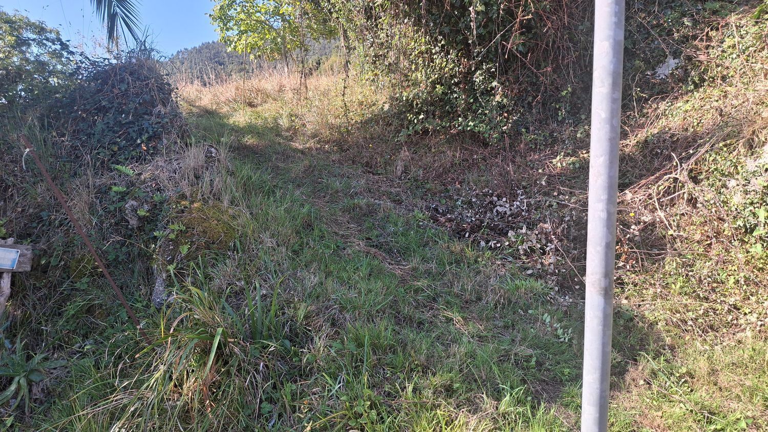 Fincas y solares-Venta-Villaviciosa-1969765-Foto-25